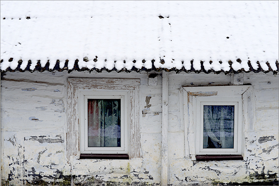 Nikon D610 sample photo. New windows in an photography