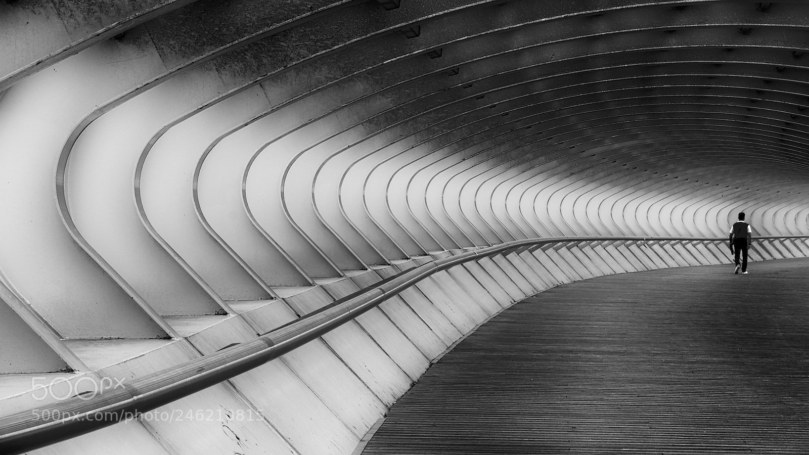 Nikon D500 sample photo. Bridge photography