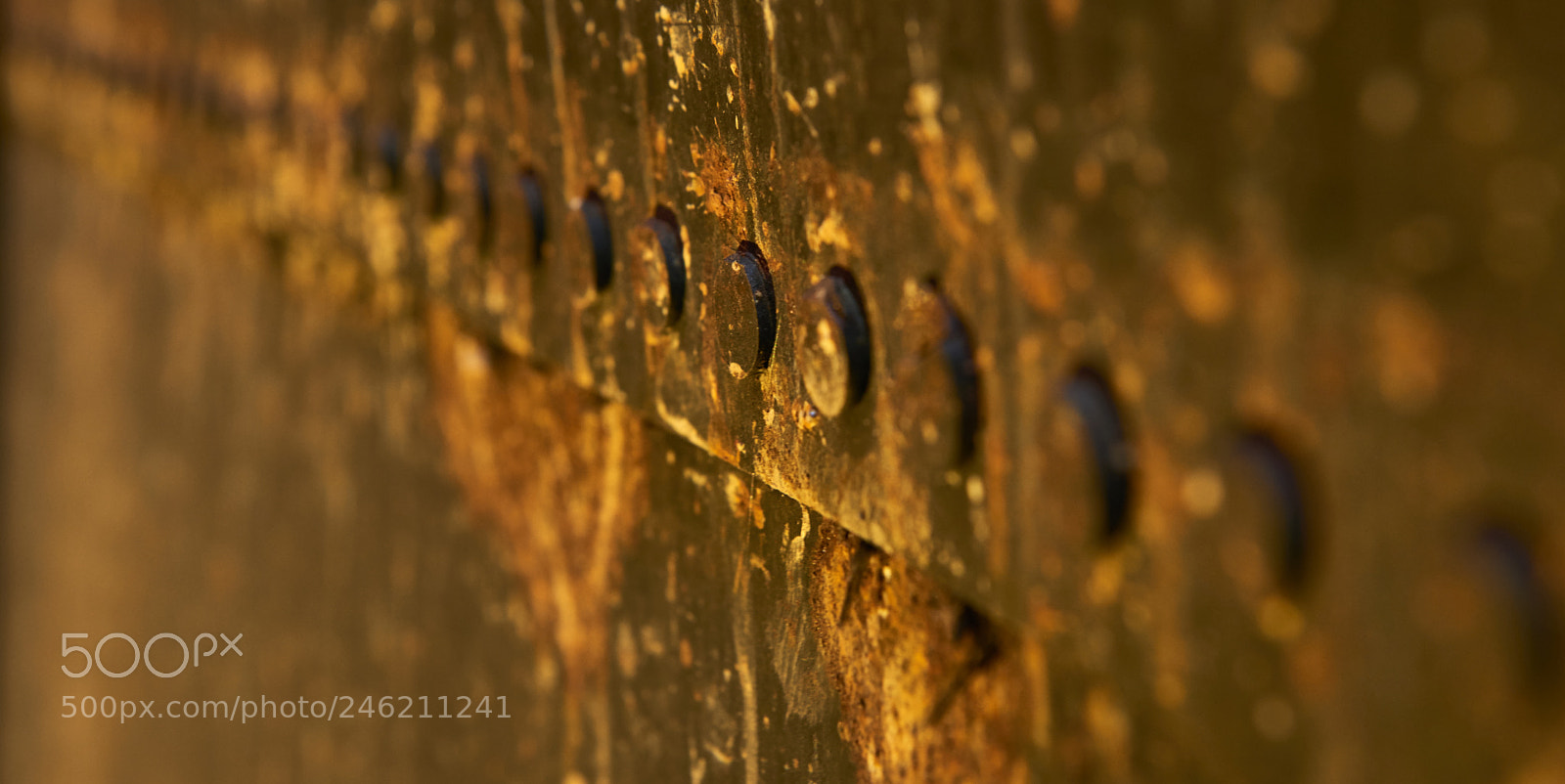 Nikon D800 sample photo. Alles nieten photography