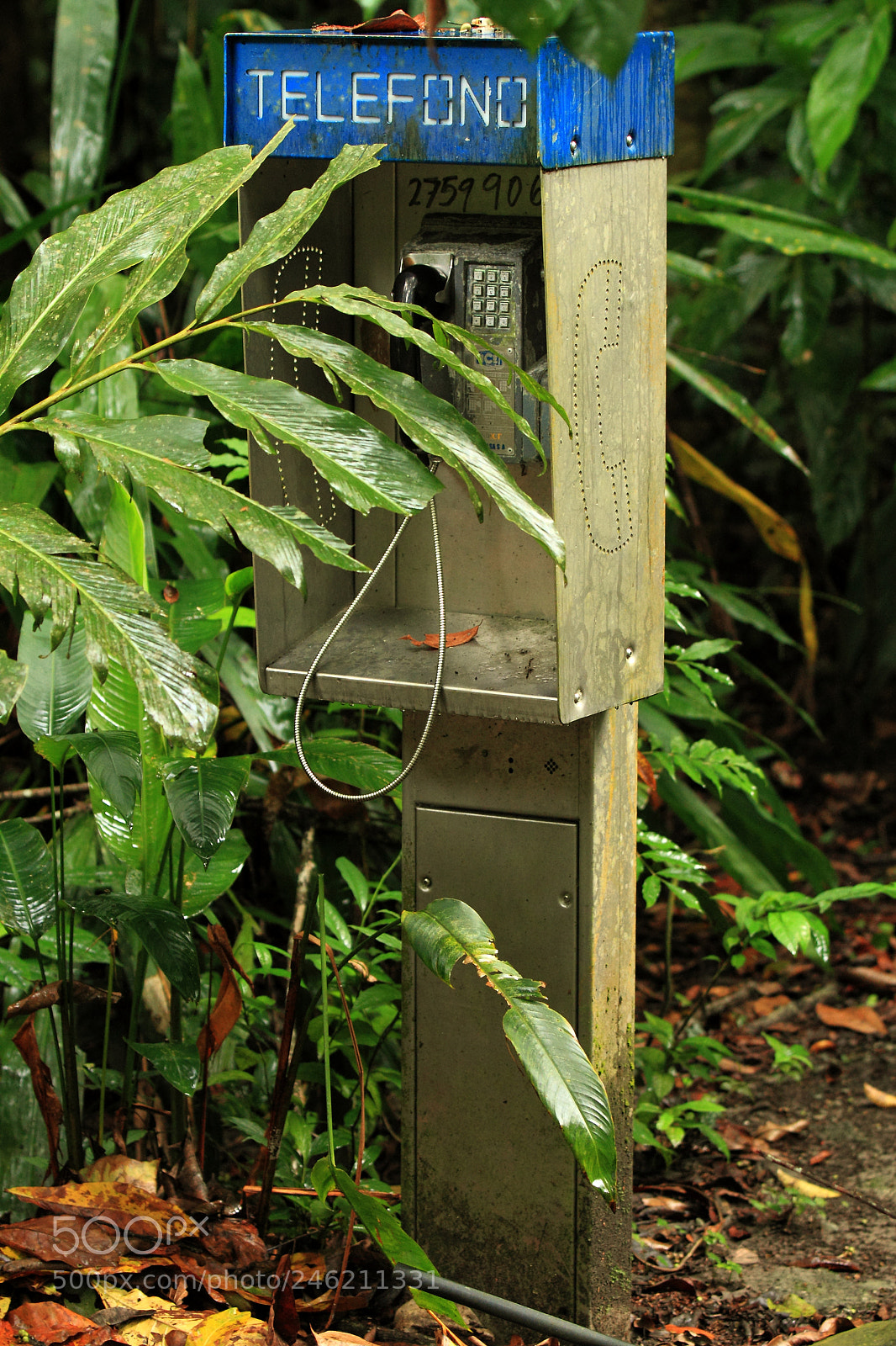 Canon EOS 7D sample photo. Img photography