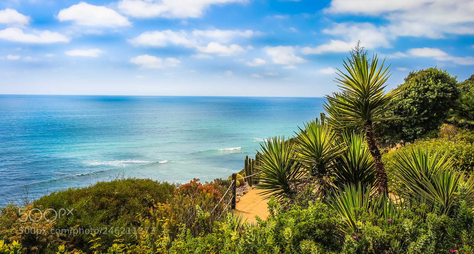 Canon EOS 700D (EOS Rebel T5i / EOS Kiss X7i) sample photo. California palm trees photography