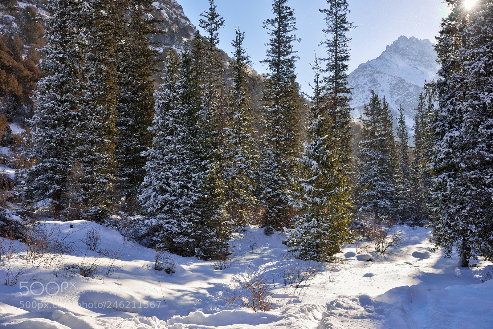 Nikon D610 sample photo. Ala-archa natural park photography