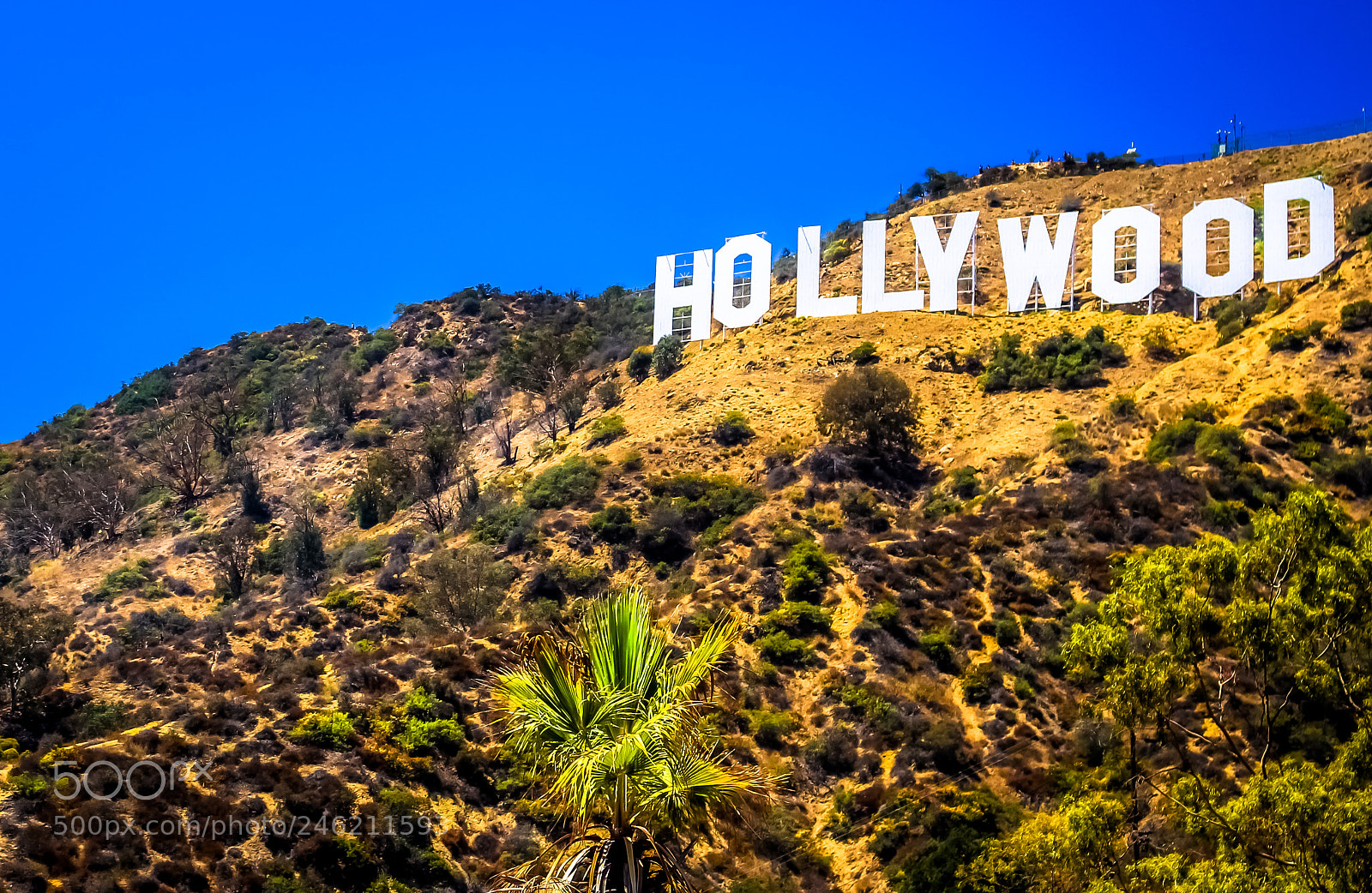 Canon EOS 700D (EOS Rebel T5i / EOS Kiss X7i) sample photo. The hollywood sign photography