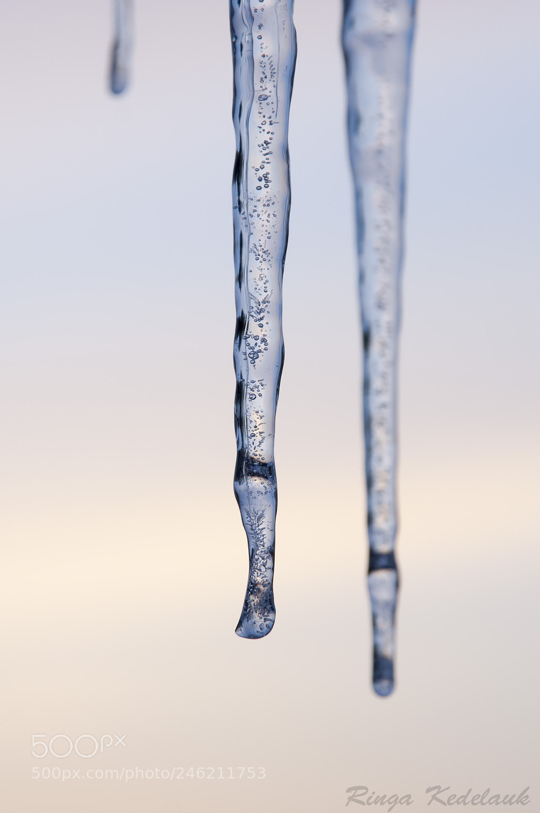 Nikon D80 sample photo. Icicle 2 photography