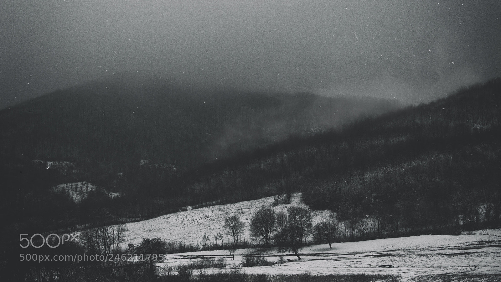 Nikon D3200 sample photo. Mist moment photography