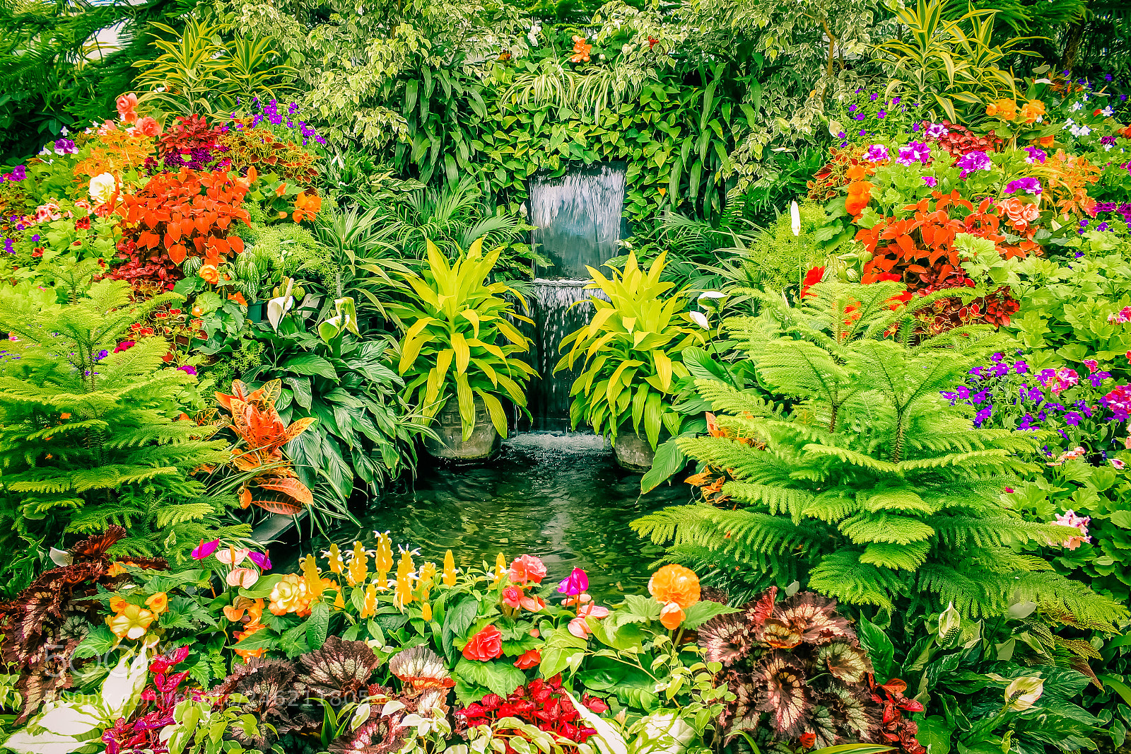 Canon EOS 700D (EOS Rebel T5i / EOS Kiss X7i) sample photo. Garden display at butchart photography