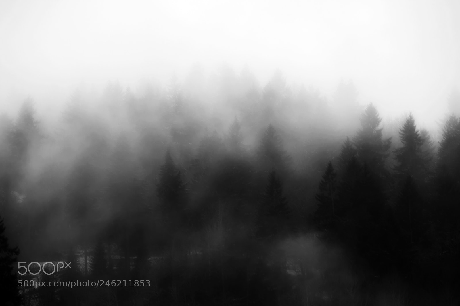 Nikon D7200 sample photo. Moody oregon weather photography