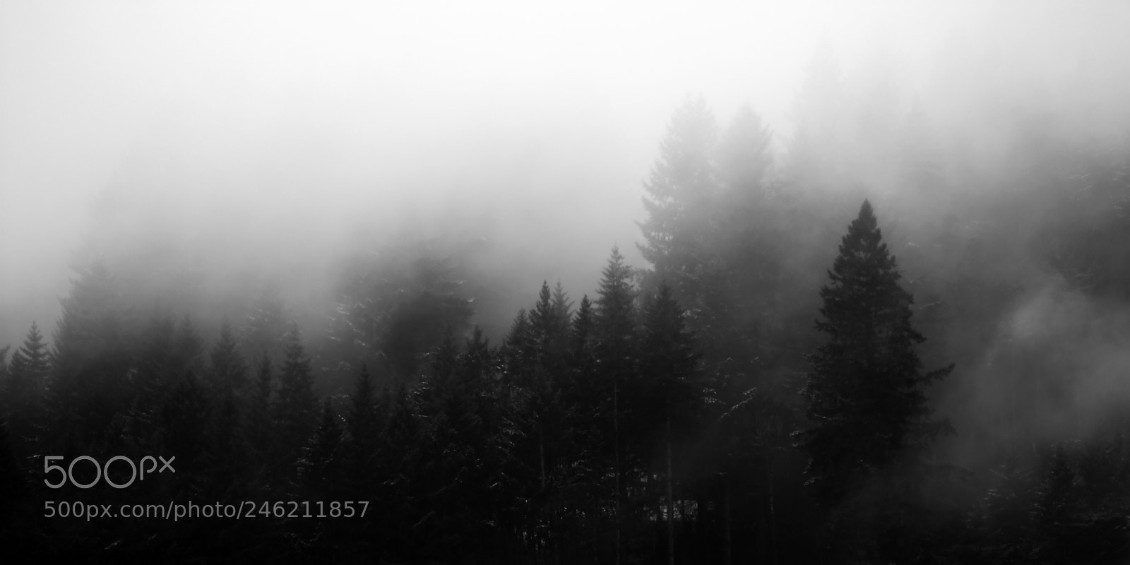 Nikon D7200 sample photo. Moody oregon weather photography