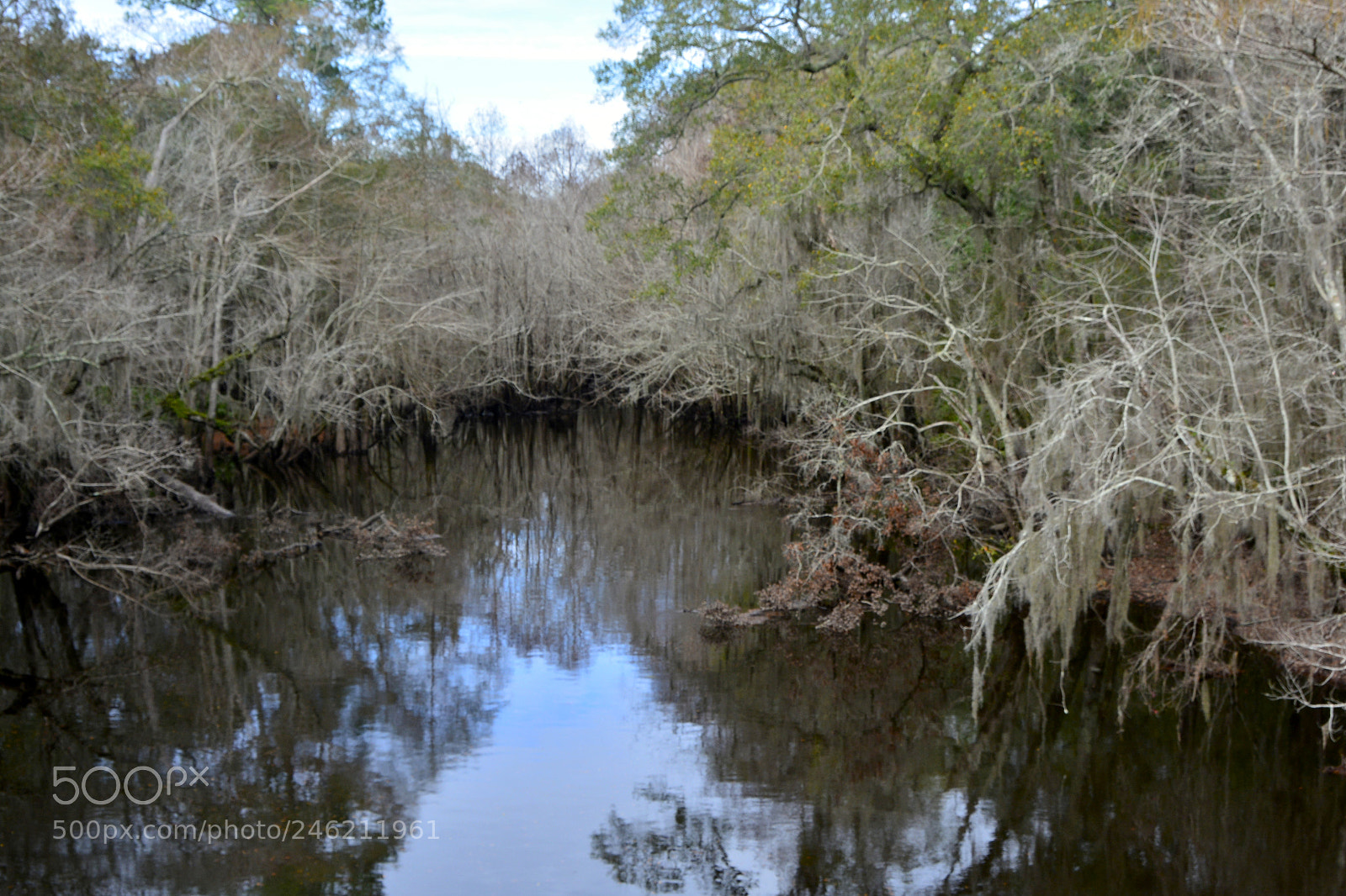 Nikon D7100 sample photo. A georgia lake...river...swamp... water photography