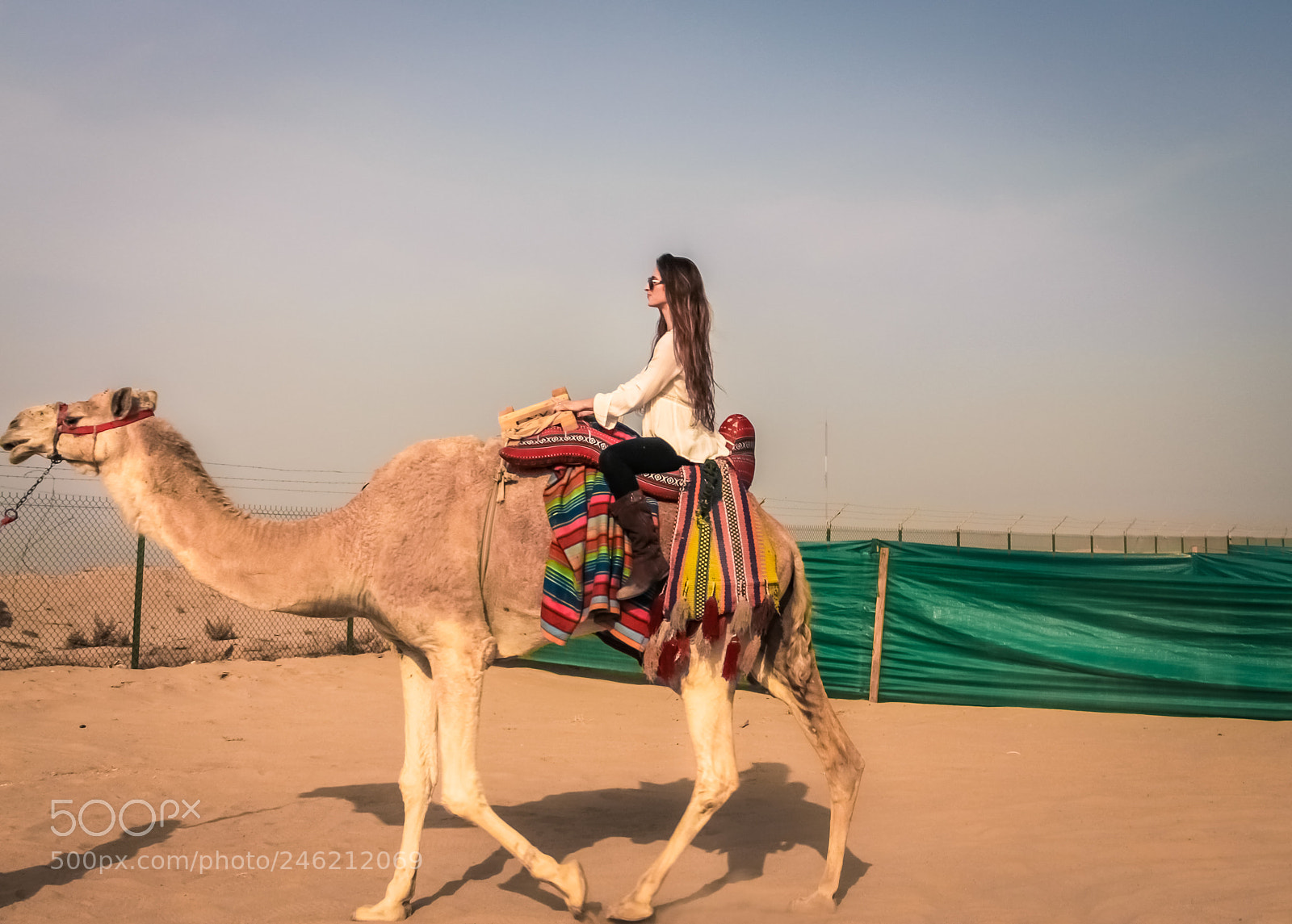 Canon EOS 700D (EOS Rebel T5i / EOS Kiss X7i) sample photo. Riding a camel in photography