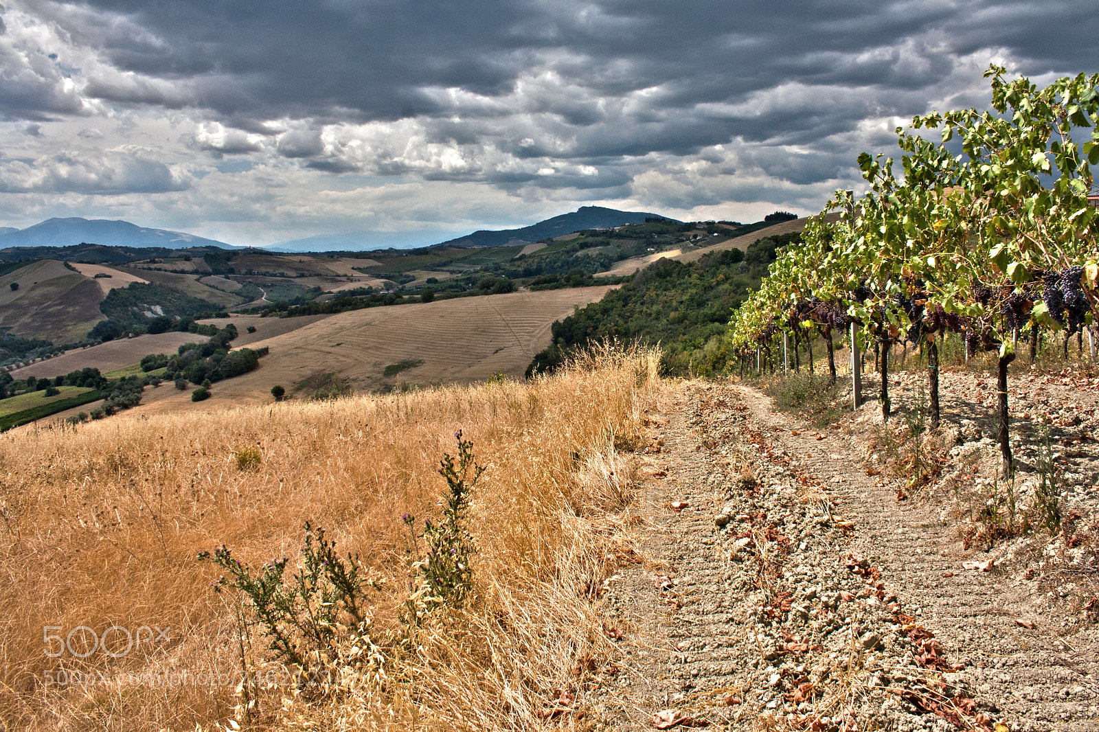 Canon EOS 1000D (EOS Digital Rebel XS / EOS Kiss F) sample photo. Rural italy photography