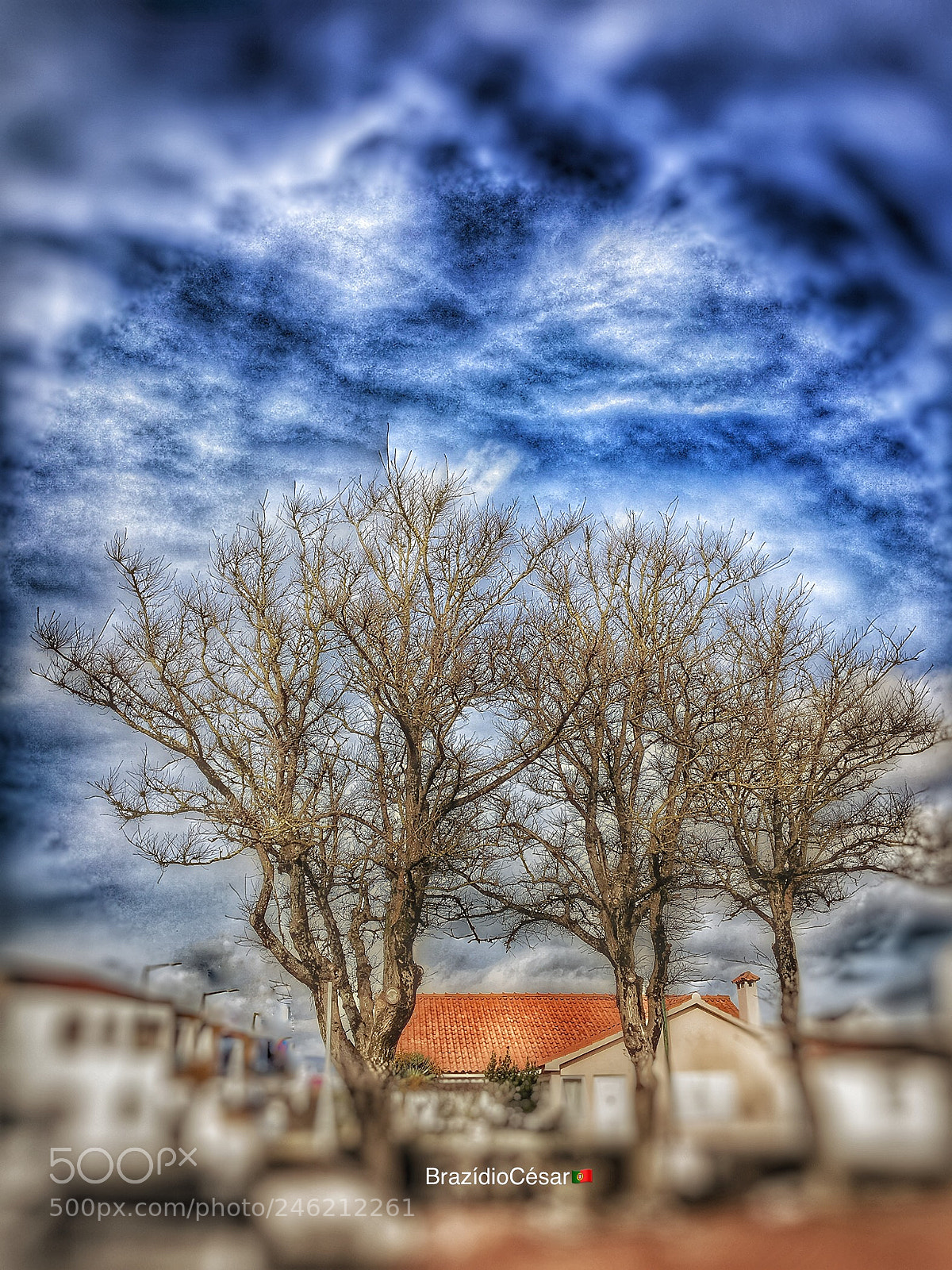Apple iPhone 6s sample photo. Untitled photography