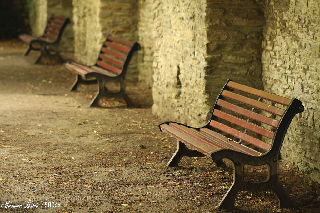 Canon EOS 50D sample photo. Nantes - benchs / bancs photography