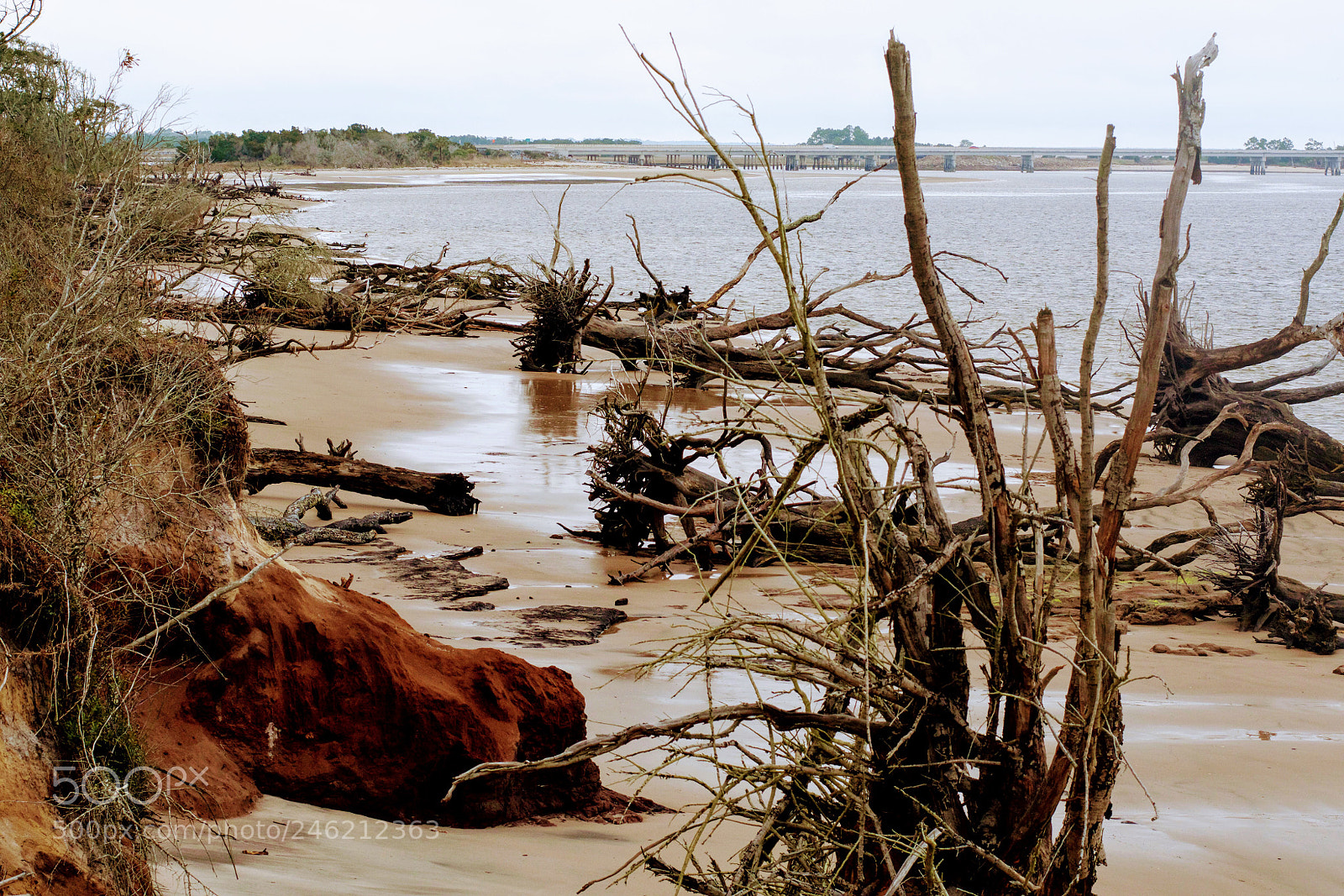 Nikon D7100 sample photo. Driftwood beach photography