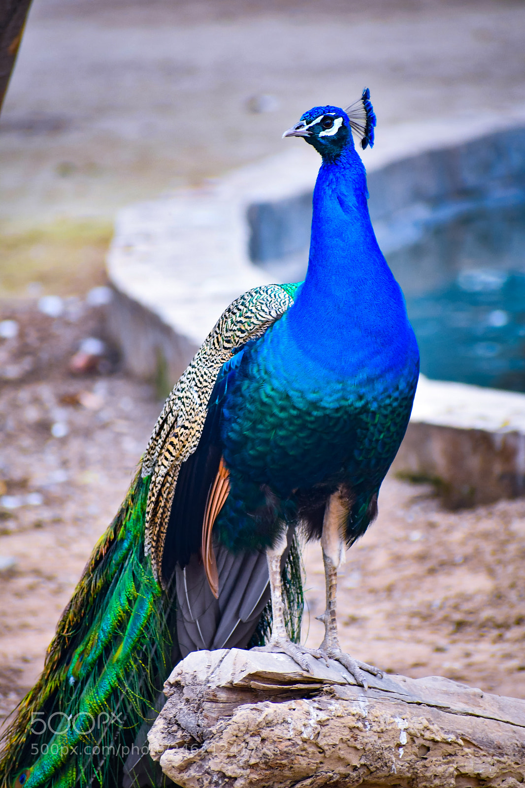 Nikon D7500 sample photo. Beauty of nature photography