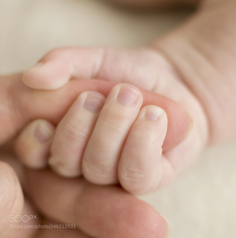Canon EOS 5D sample photo. Untitled photography