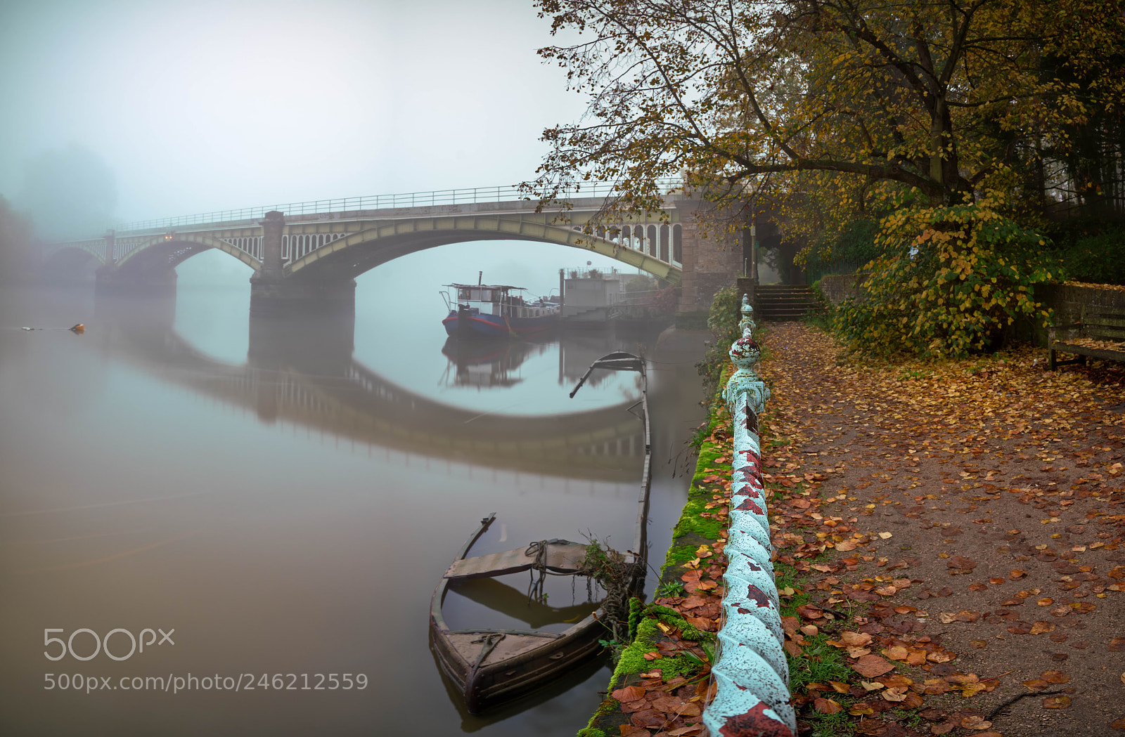 Sony a7R II sample photo. Autumn fog photography