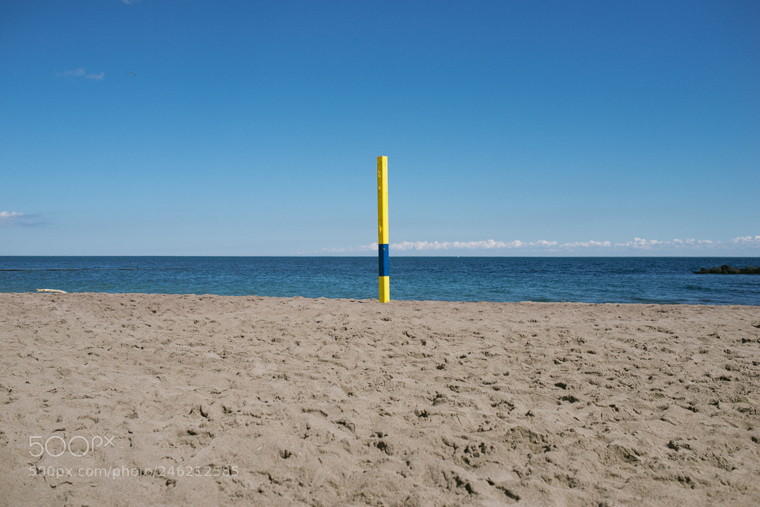 Nikon D610 sample photo. To photography