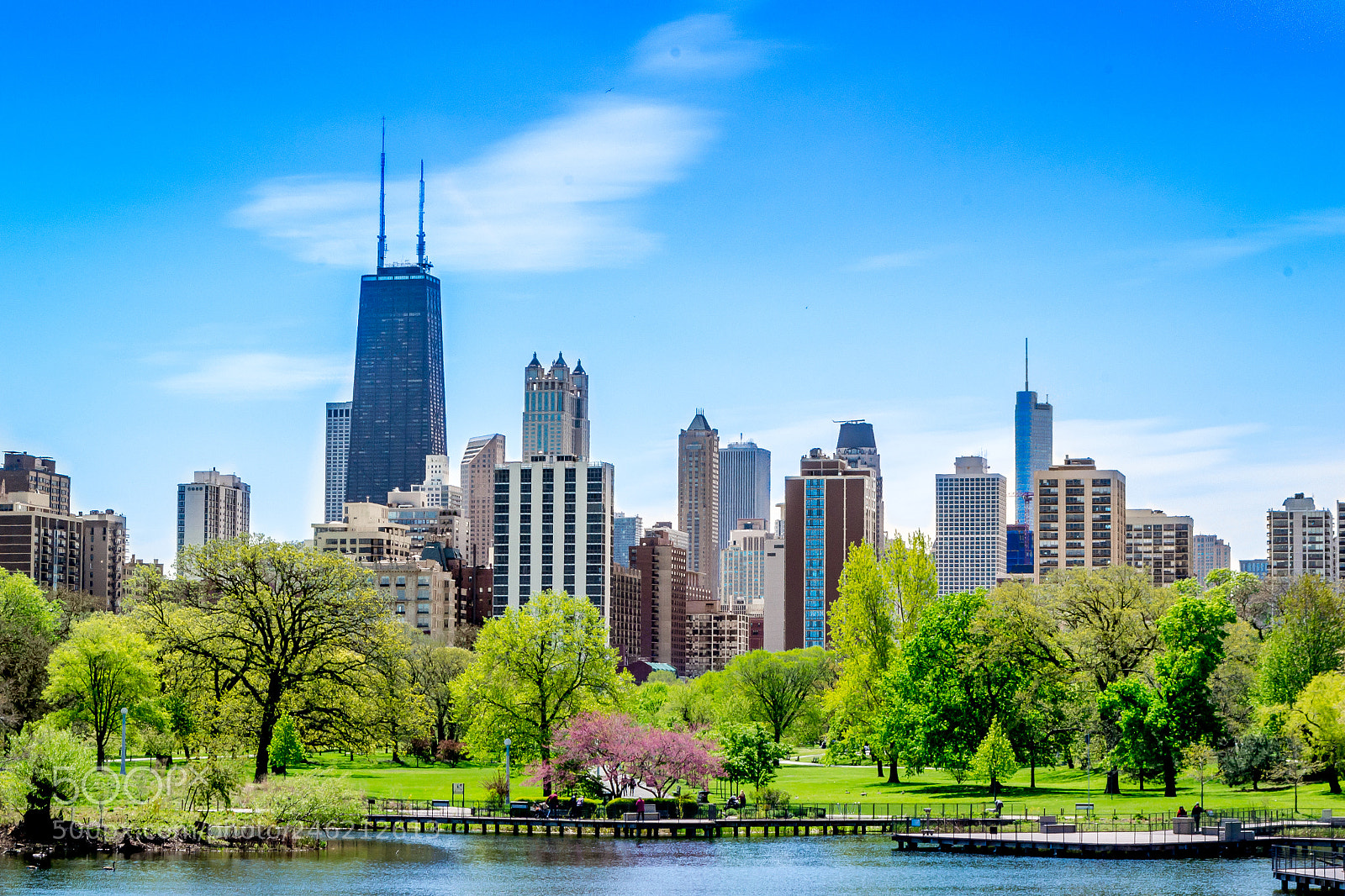 Nikon D3100 sample photo. Chicago photography
