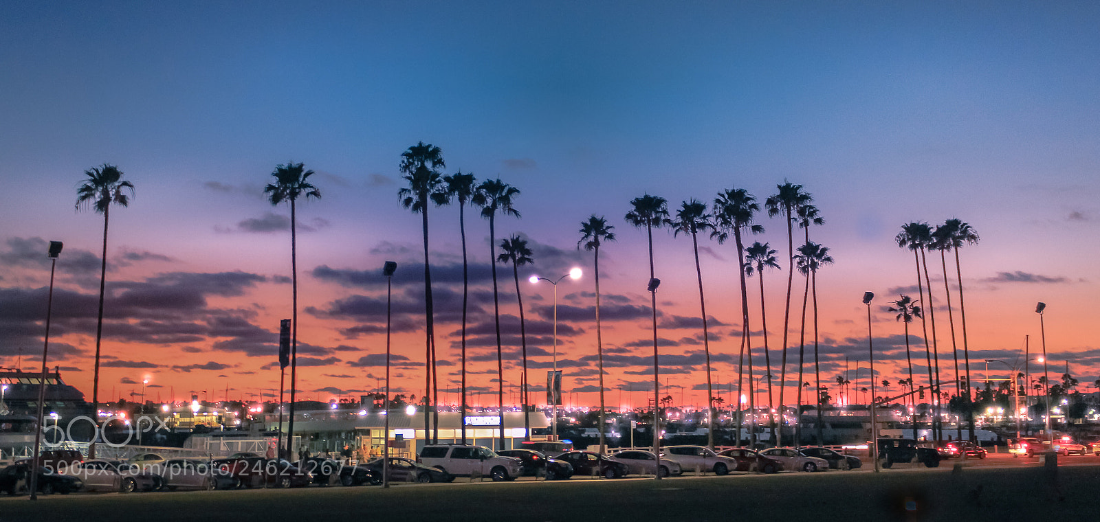 Canon EOS 700D (EOS Rebel T5i / EOS Kiss X7i) sample photo. Sunset in tampa florida photography