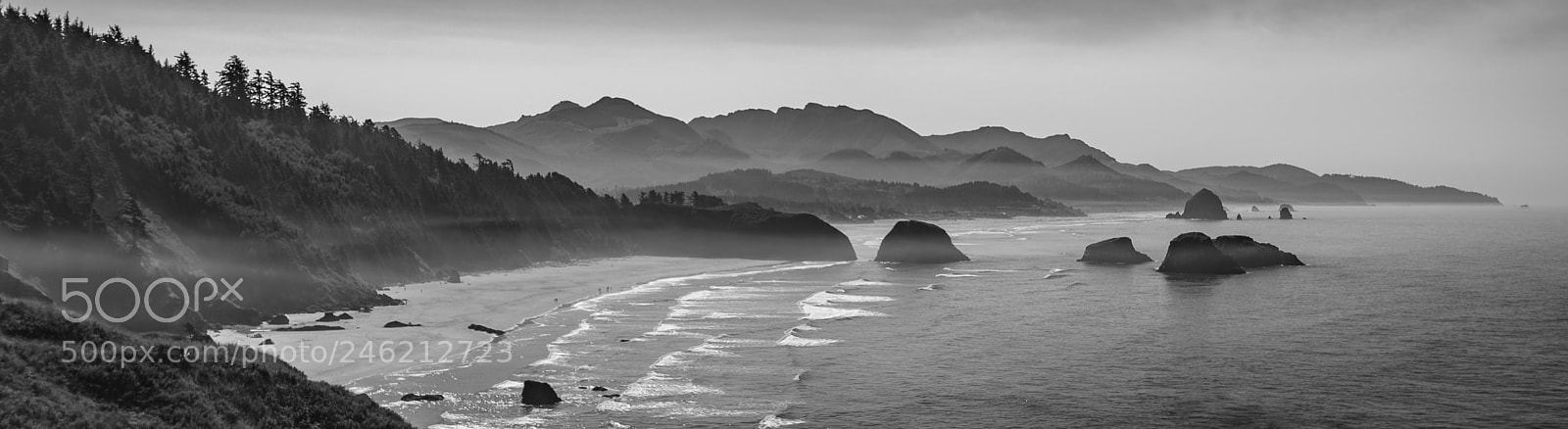 Nikon D7500 sample photo. Murky beach photography