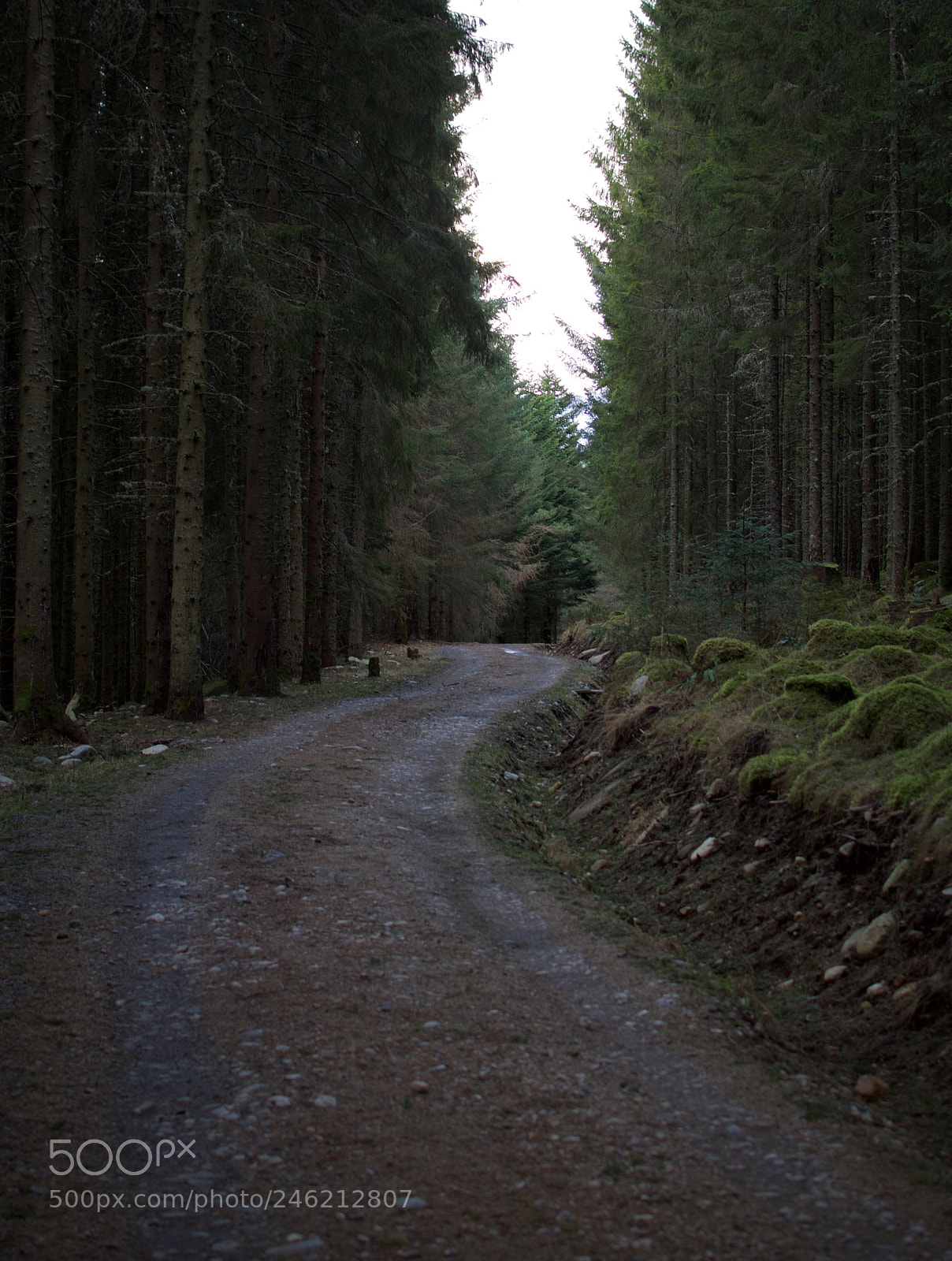 Nikon D7200 sample photo. The road to serenity photography