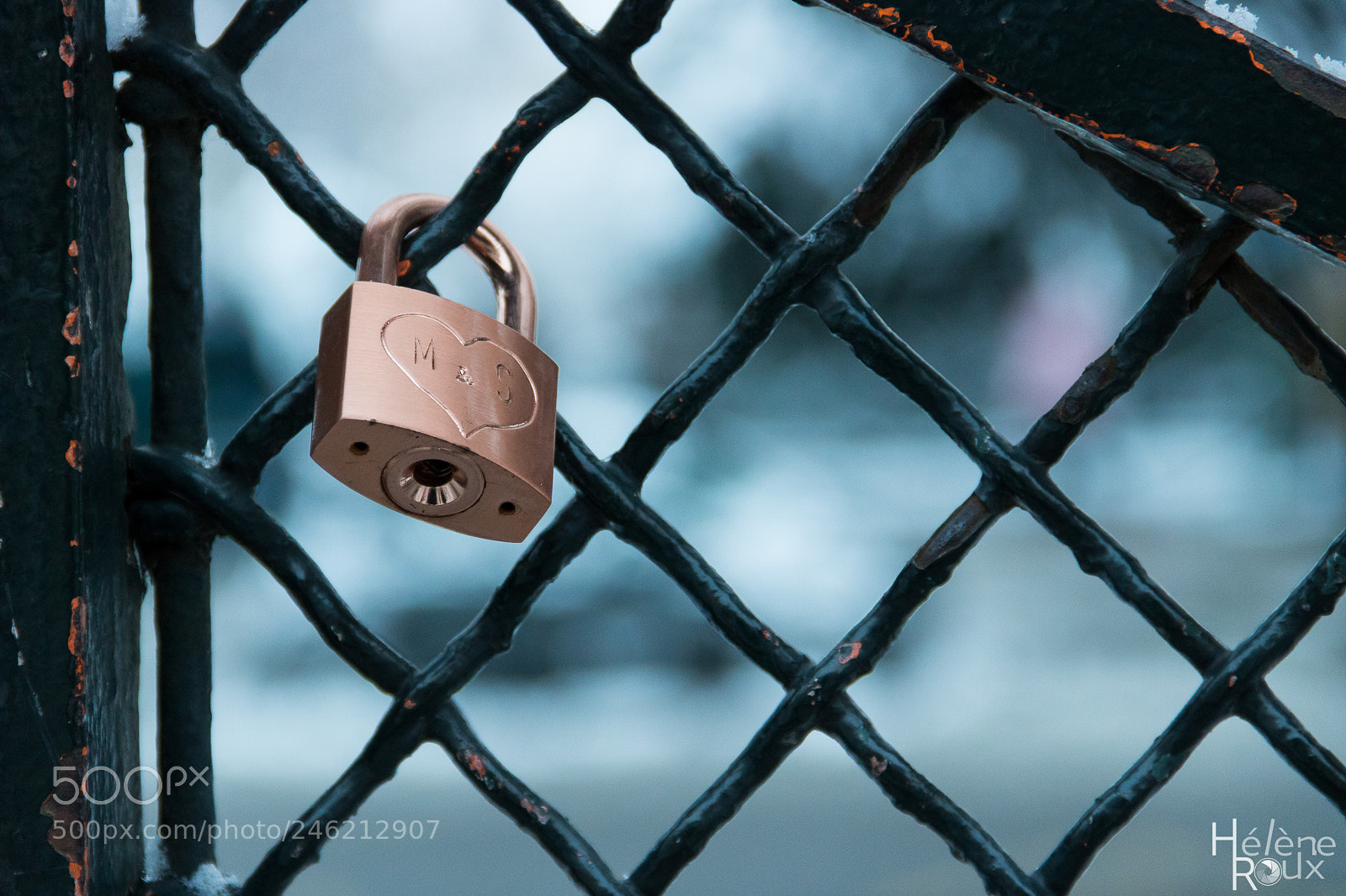 Canon EOS 760D (EOS Rebel T6s / EOS 8000D) sample photo. Valentine's day photography