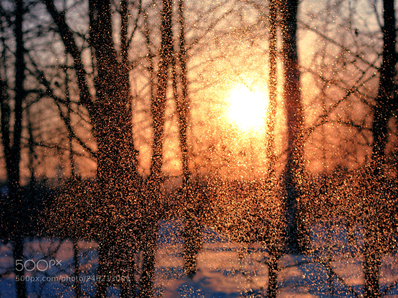 Canon EOS 600D (Rebel EOS T3i / EOS Kiss X5) sample photo. Snow and sunlight. photography