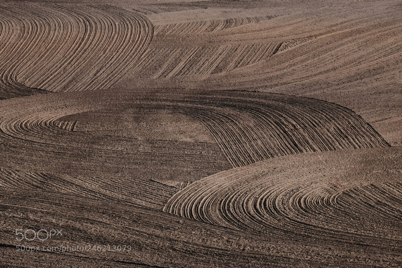 Fujifilm X-T10 sample photo. Abstract farming photography