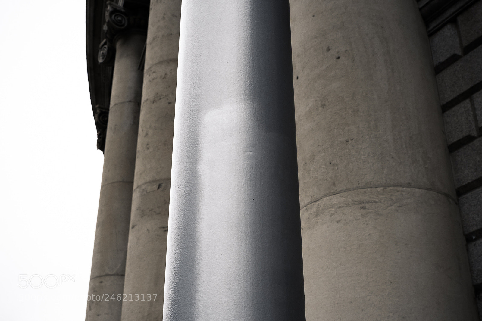 Nikon D810 sample photo. Material support photography