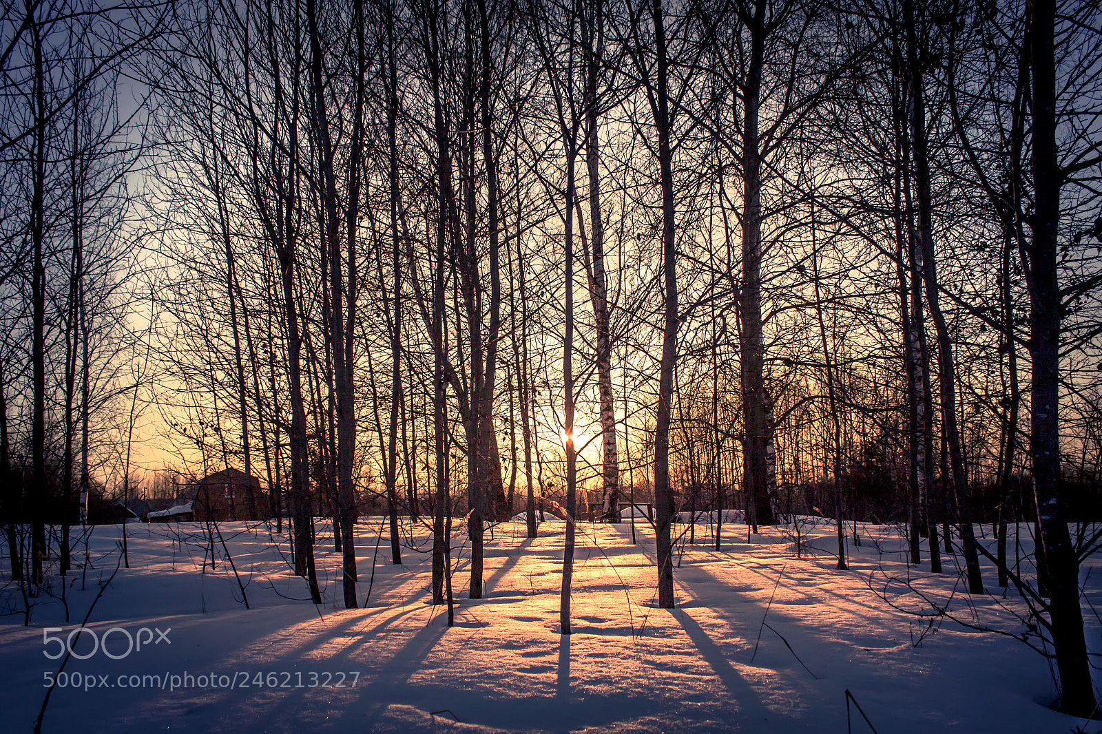 Canon EOS 600D (Rebel EOS T3i / EOS Kiss X5) sample photo. Winters evening. photography
