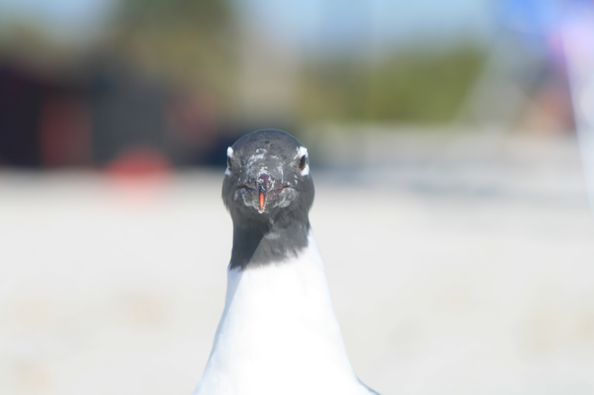 EF75-300mm f/4-5.6 sample photo