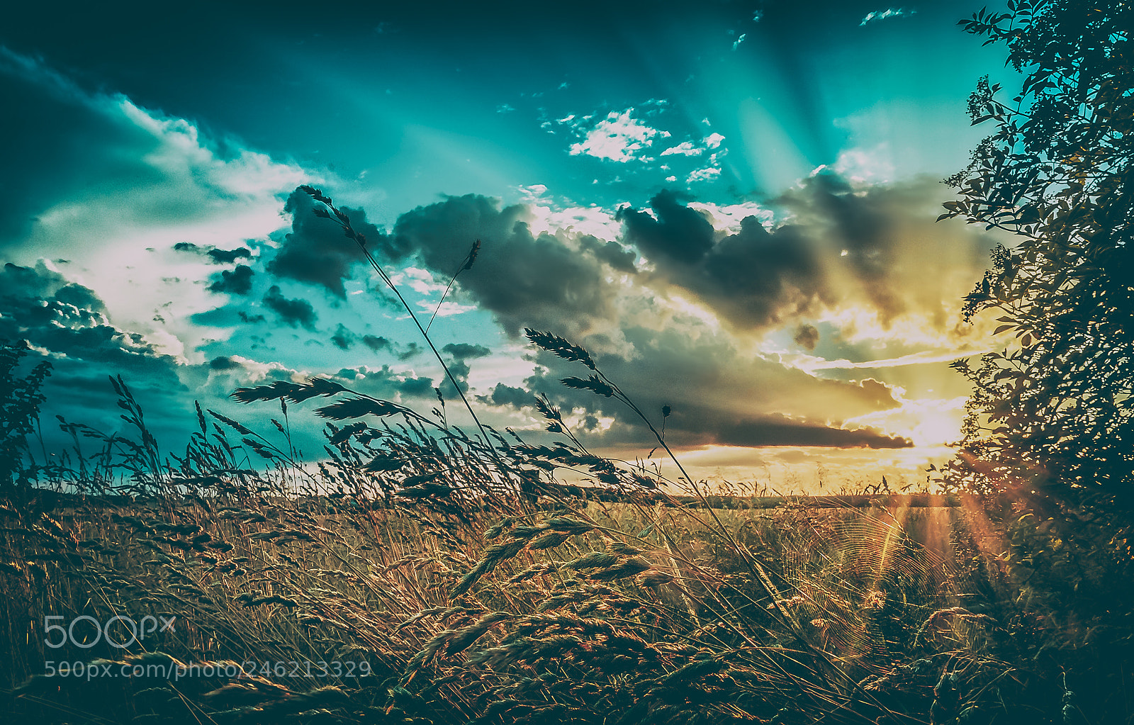 Nikon D300S sample photo. Sunset photography