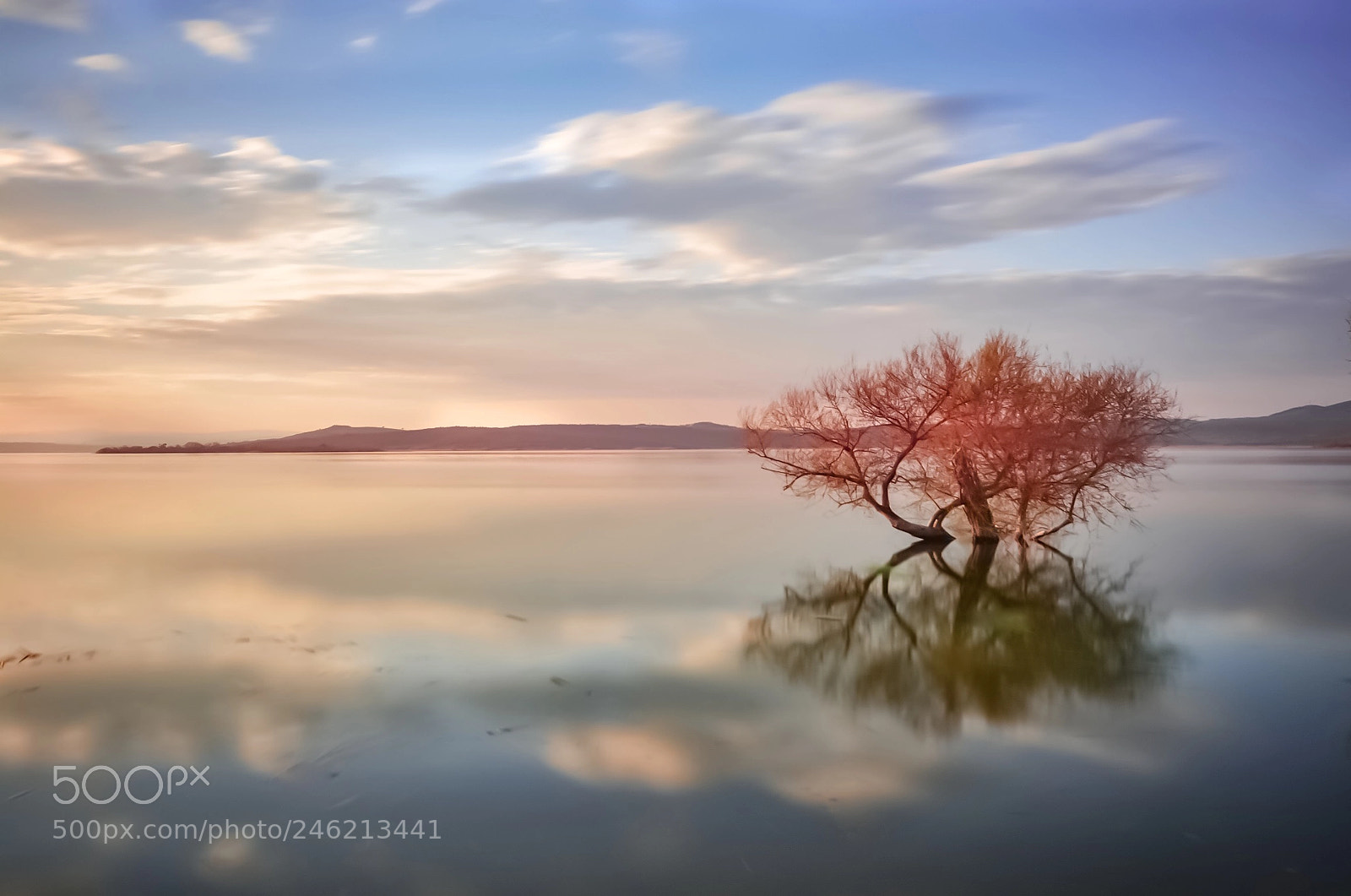 Nikon D7100 sample photo. Silence photography