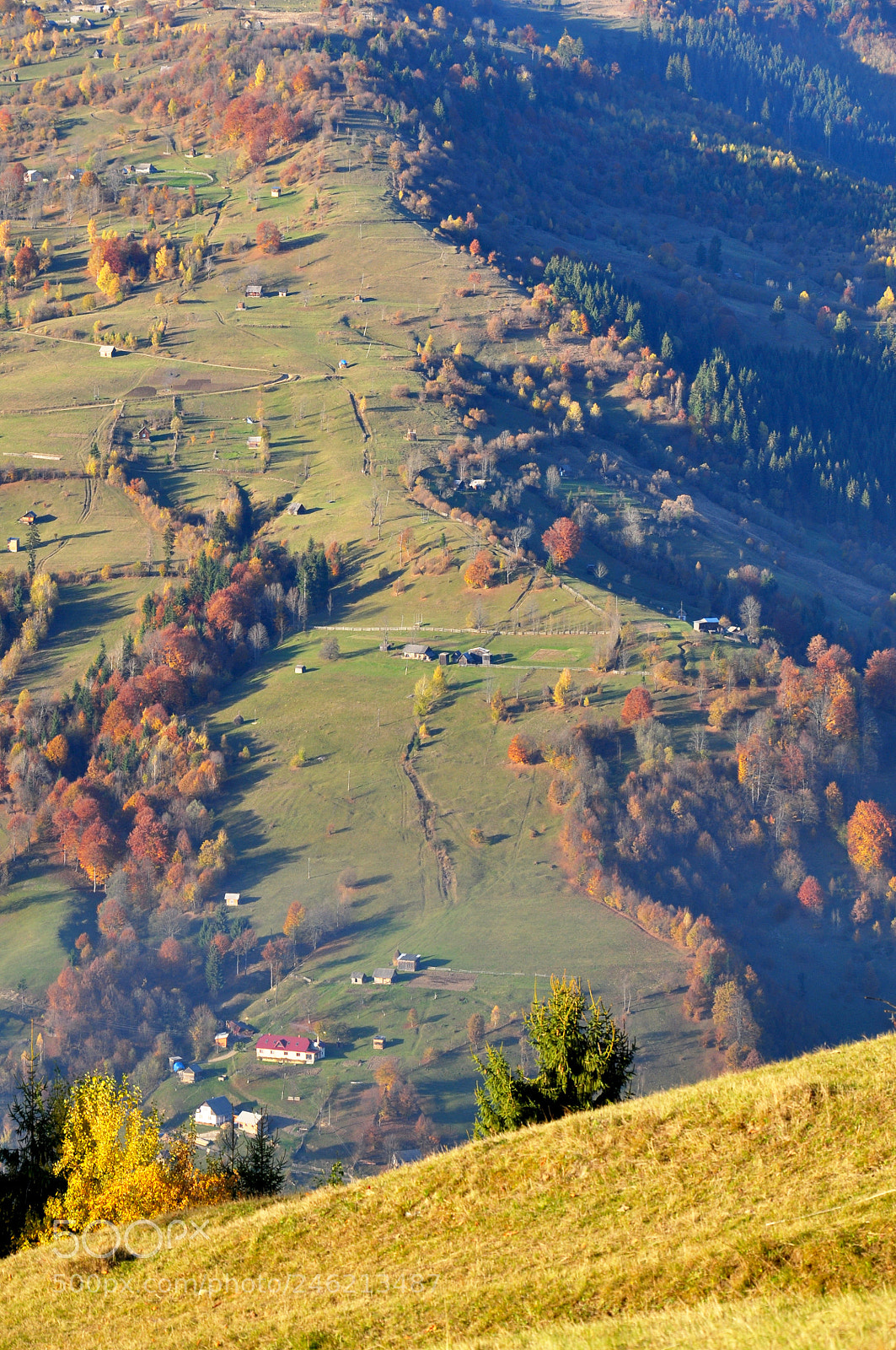 Nikon D5000 sample photo. Autumn vertical photography