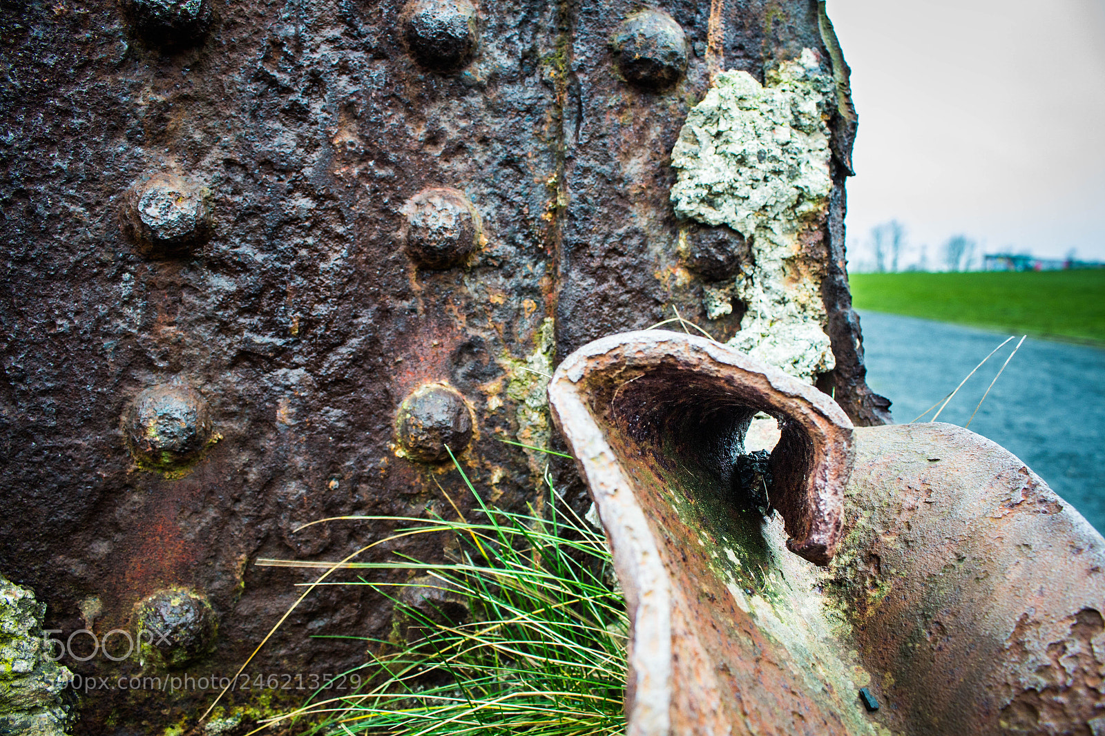 Canon EOS 700D (EOS Rebel T5i / EOS Kiss X7i) sample photo. Twisted photography