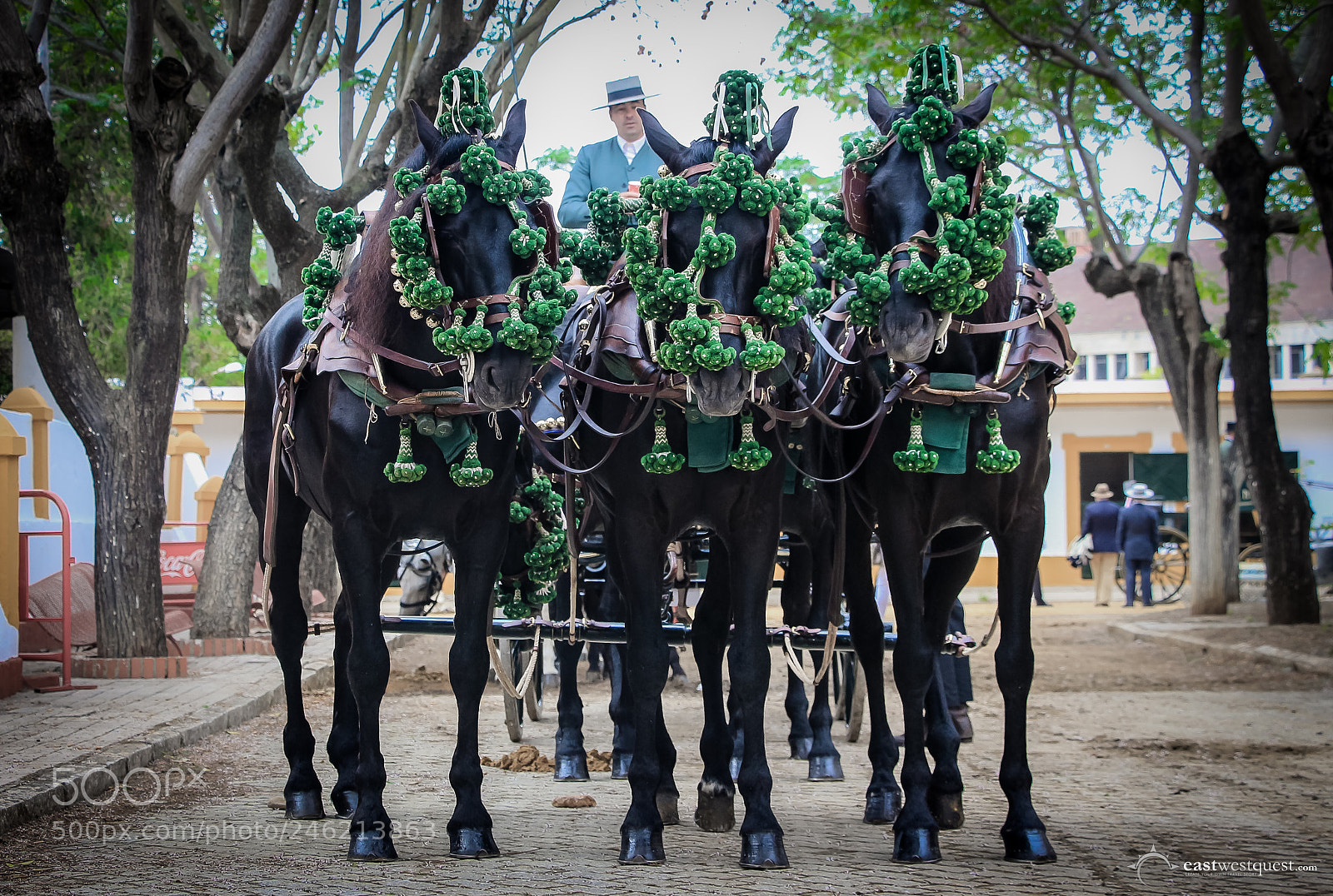 Canon EOS 700D (EOS Rebel T5i / EOS Kiss X7i) sample photo. Traditionally decorated horse carriage photography