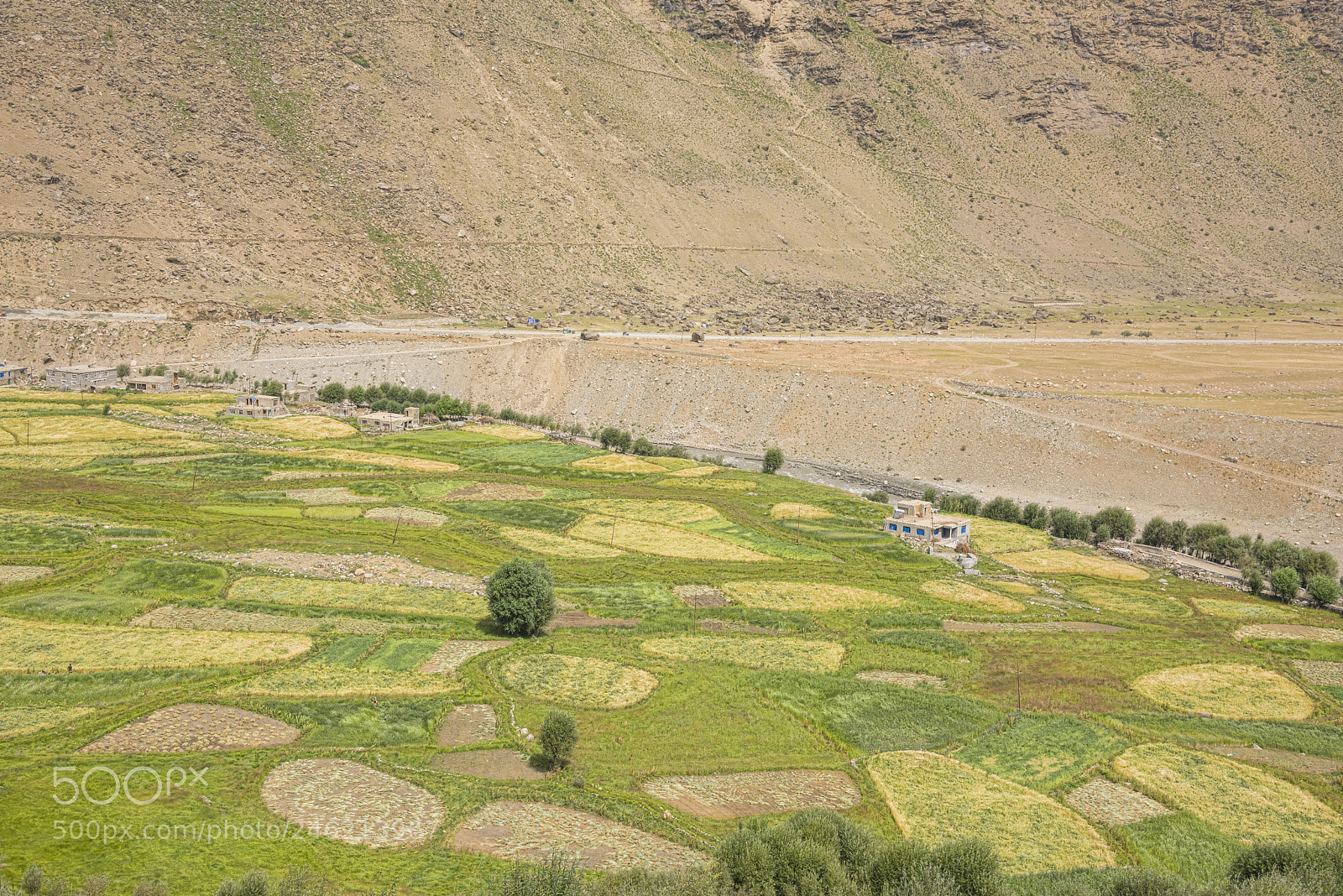 Nikon D810 sample photo. Scenic rural landscape near photography
