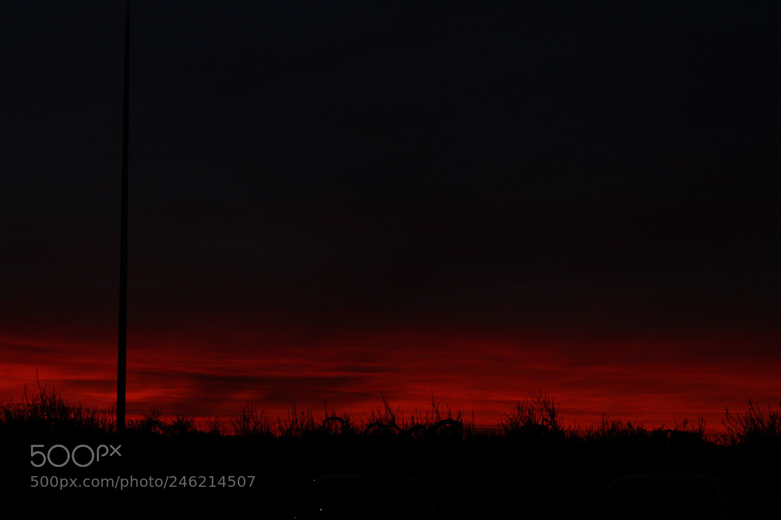 Canon EF-S 18-55mm F3.5-5.6 III sample photo. Img photography