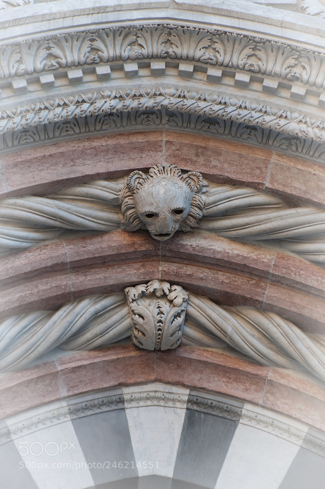 Nikon D90 sample photo. Grimace photography