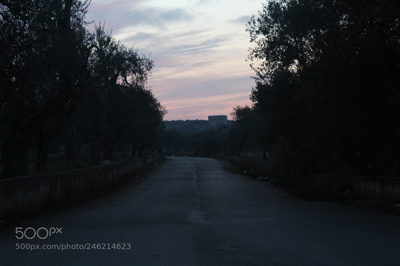 Canon EF-S 18-55mm F3.5-5.6 III sample photo. Nature photography