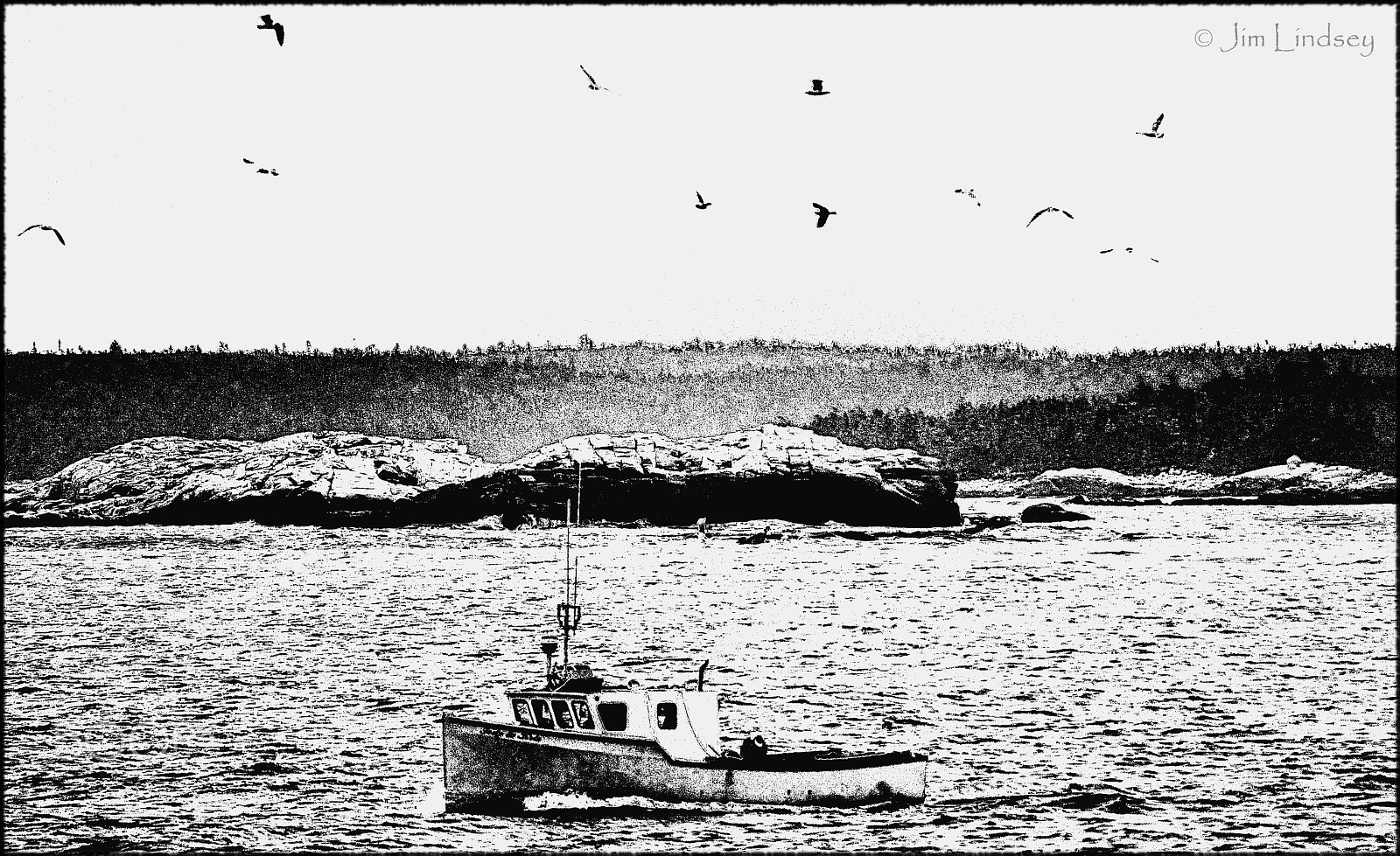 Nikon D3100 sample photo. The birds know w border and threshold dsc photography