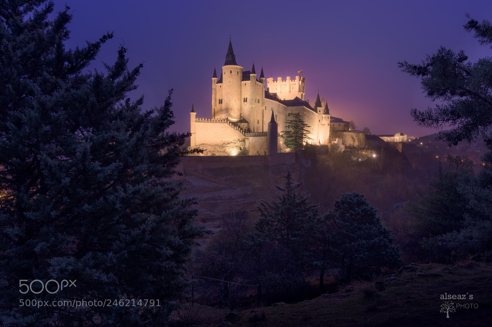 Nikon D7200 sample photo. Alcázar de segovia photography