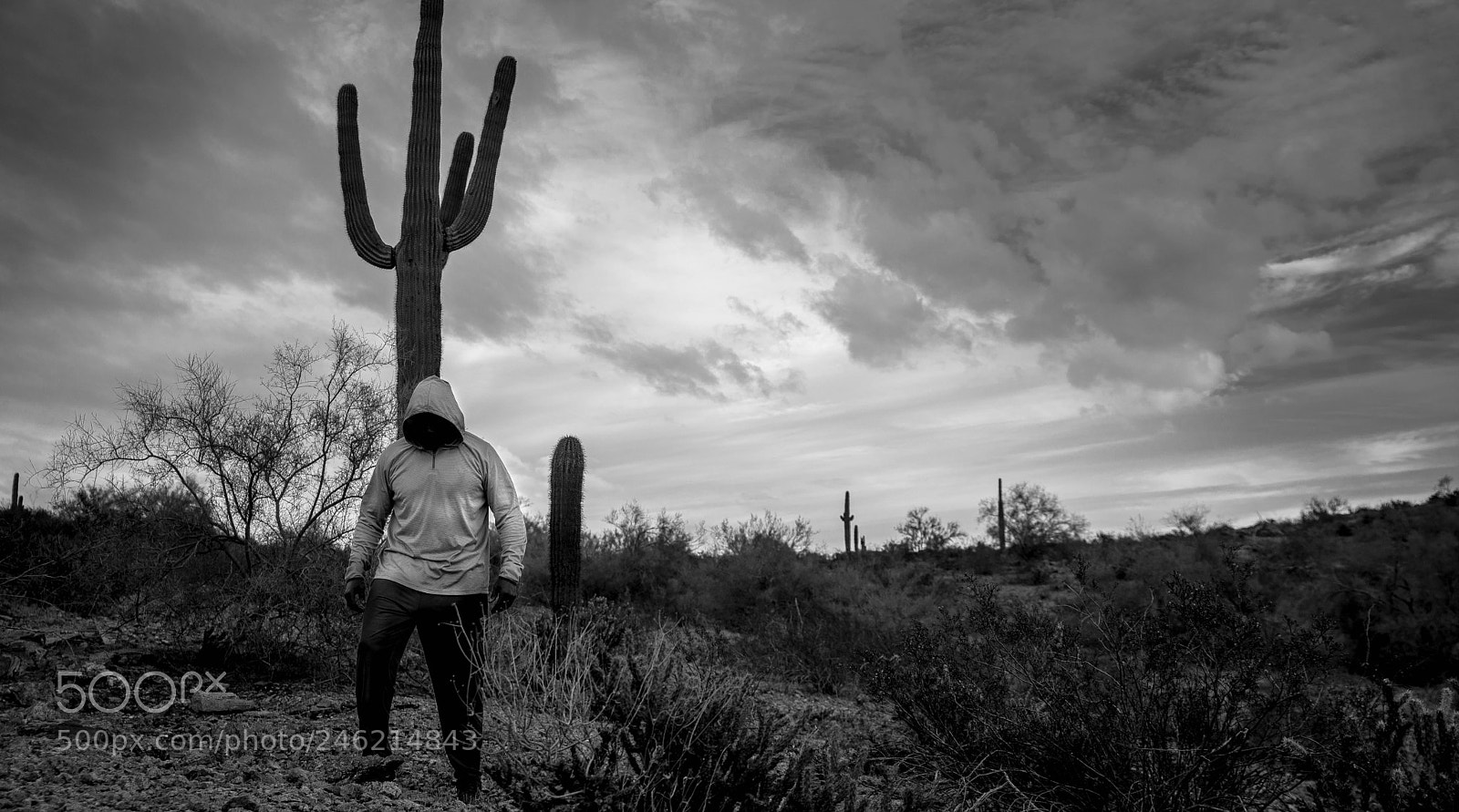 Nikon D610 sample photo. Walking in the shadow photography