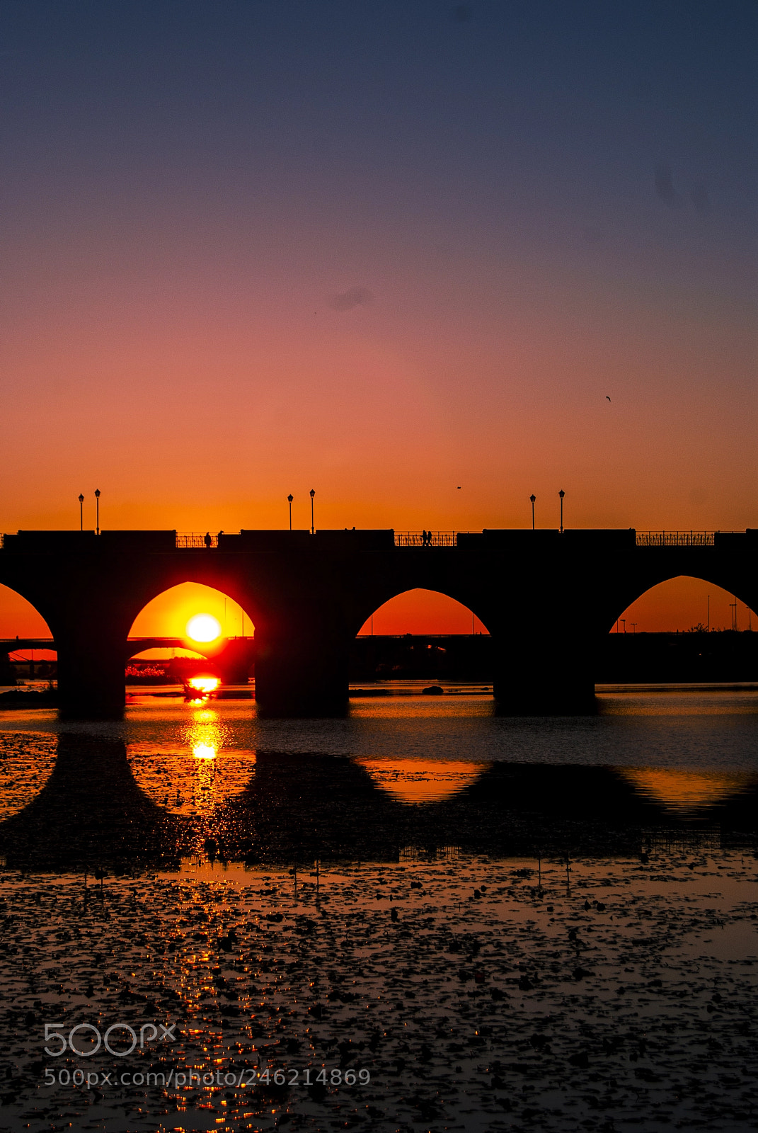 Sony Alpha DSLR-A330 sample photo. Perfect sunset photography