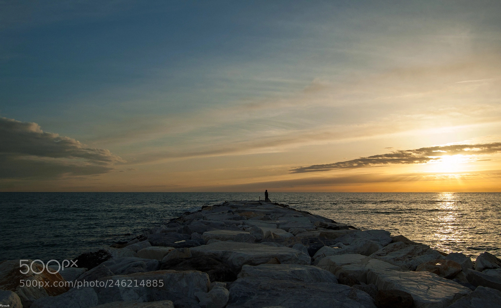 Nikon D50 sample photo. Silent ecstasy.. photography