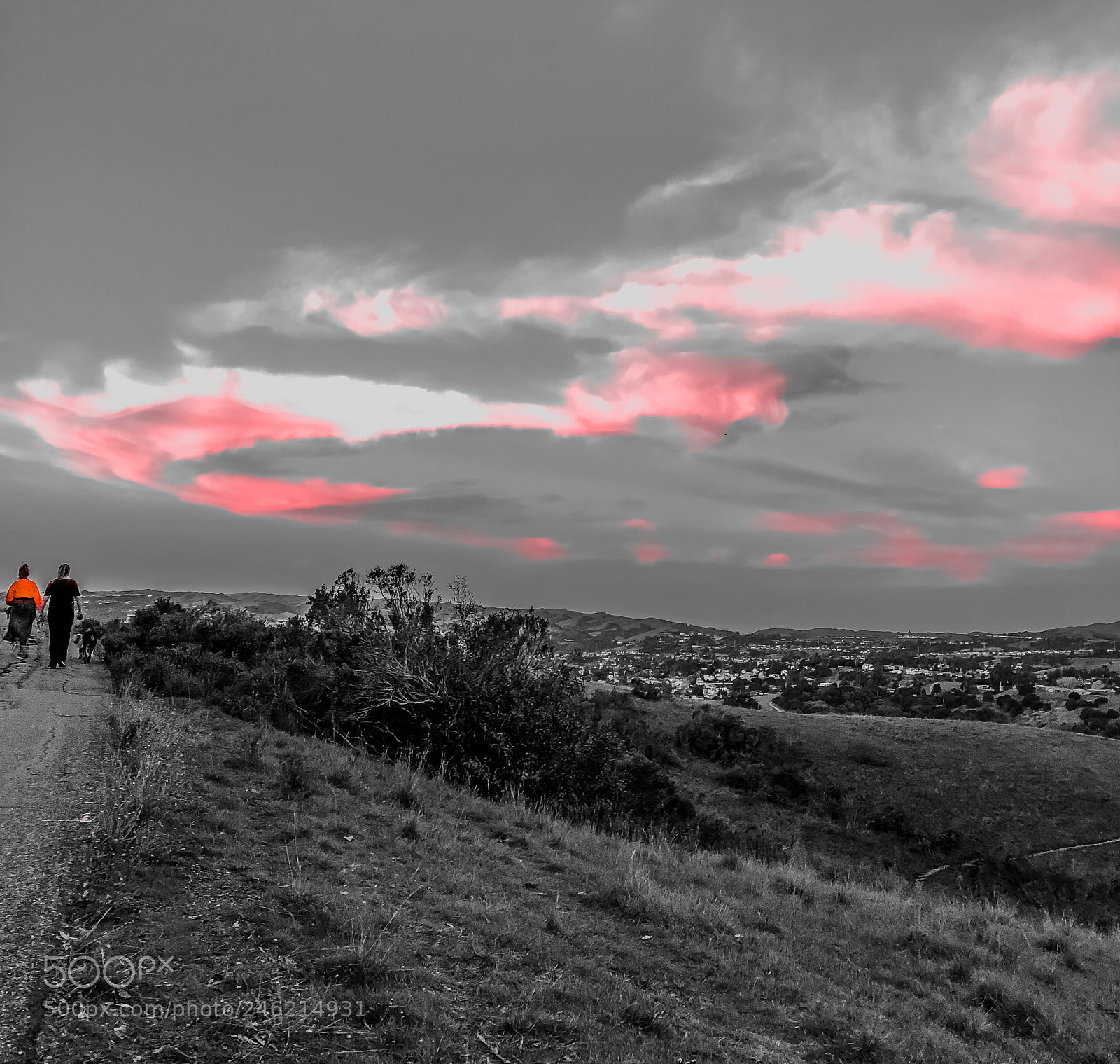 Apple iPhone 8 Plus sample photo. Evening stroll #2 photography