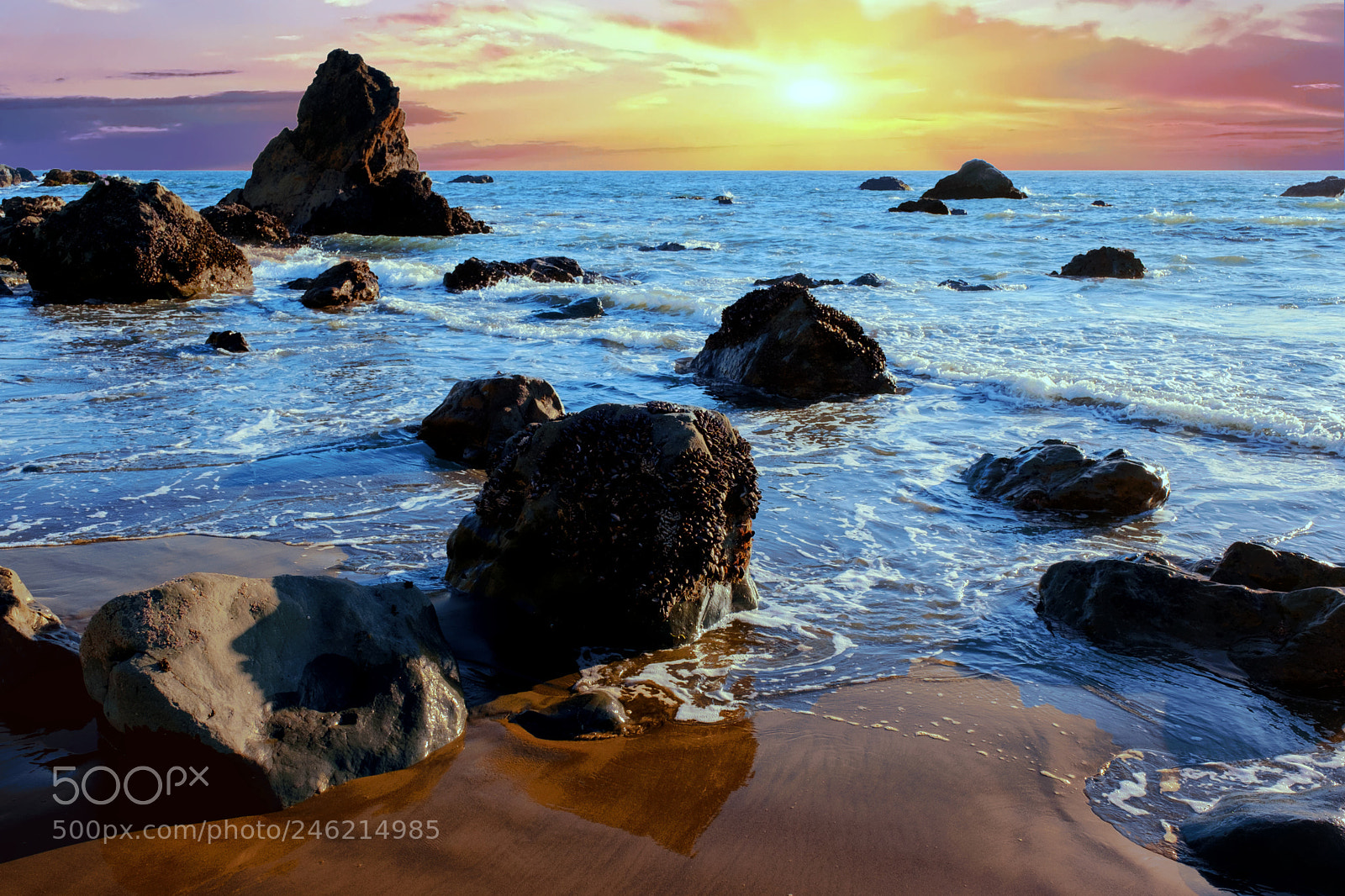 Fujifilm X-T2 sample photo. Muir beach photography