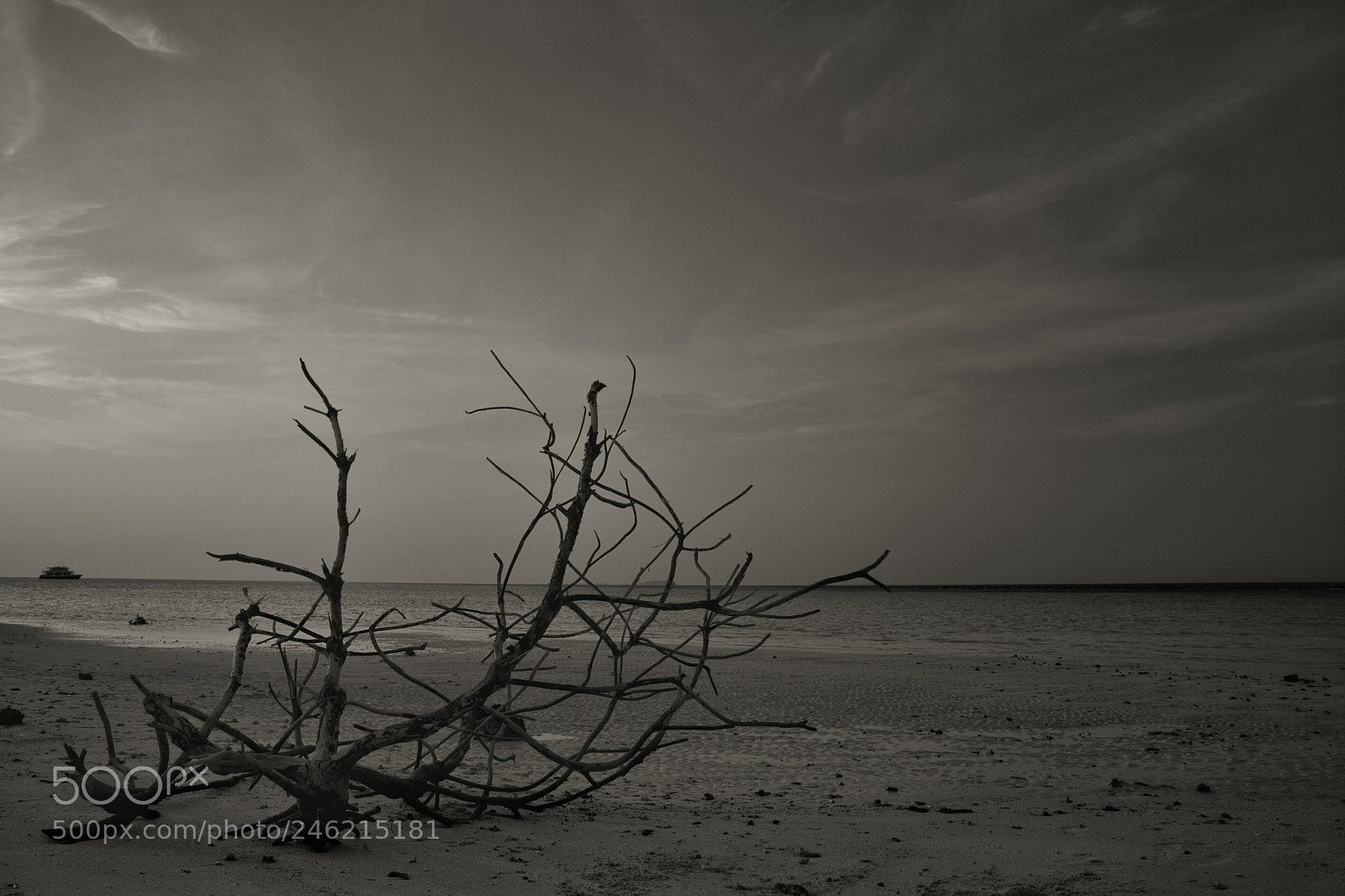 Canon EOS 7D sample photo. Untitled photography