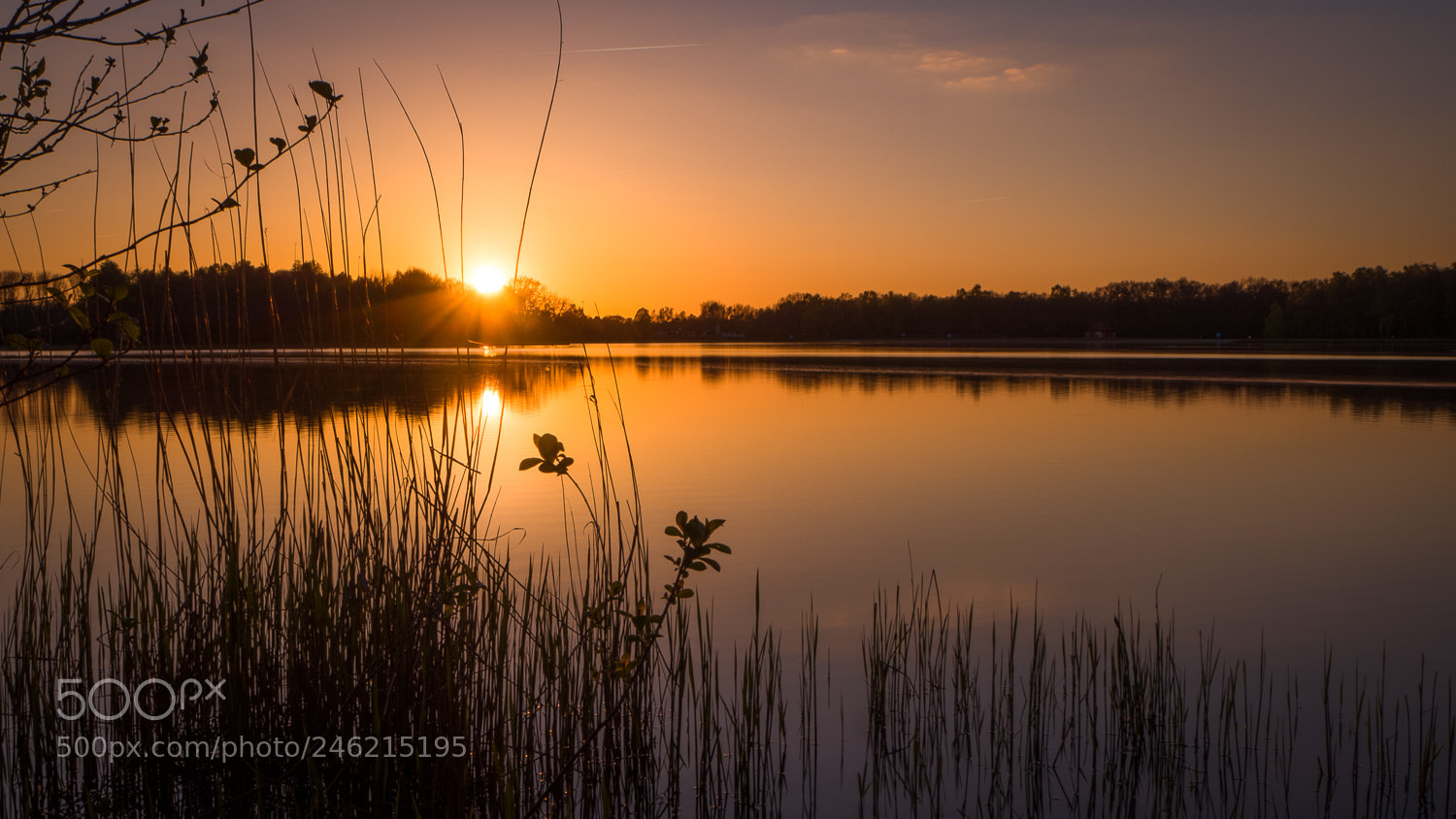 Olympus OM-D E-M10 II sample photo. Rutbeek lake photography
